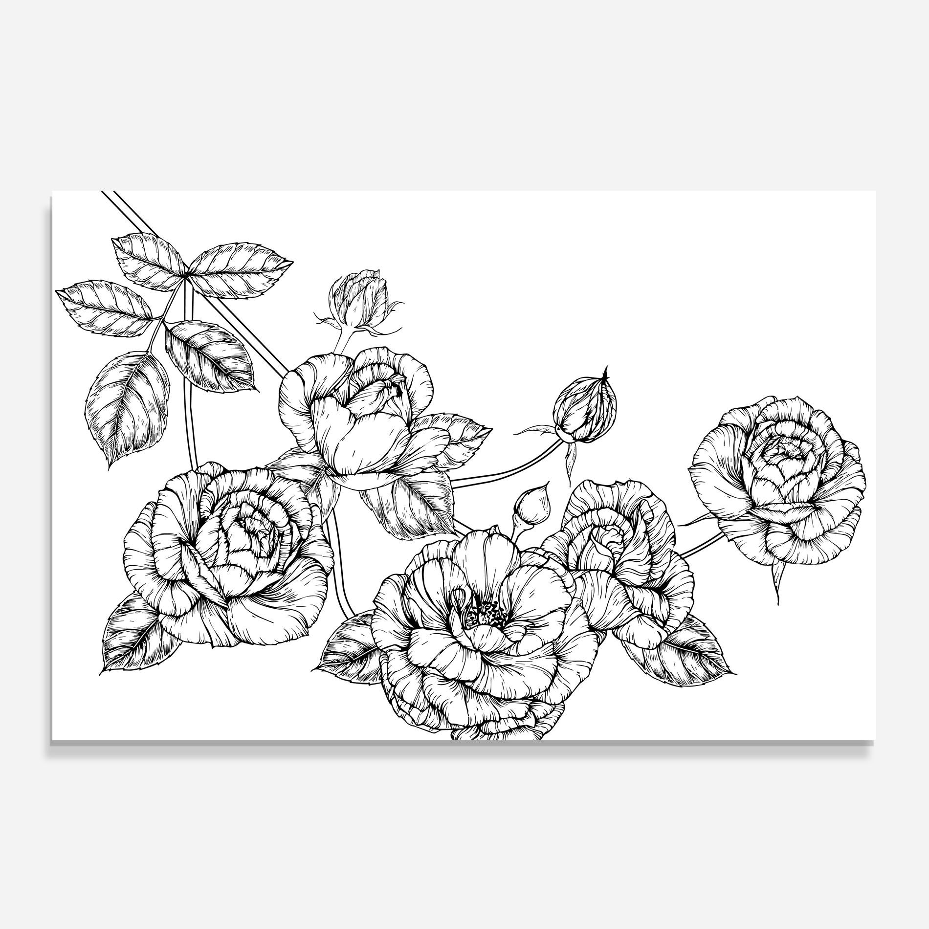 Big Roses Line mockup 0