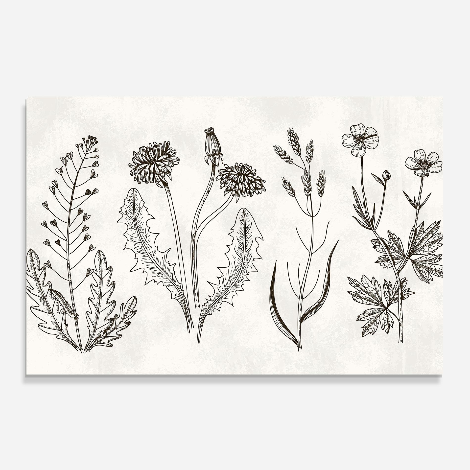 Panou Sticla Bucatarie Black Line White mockup 0