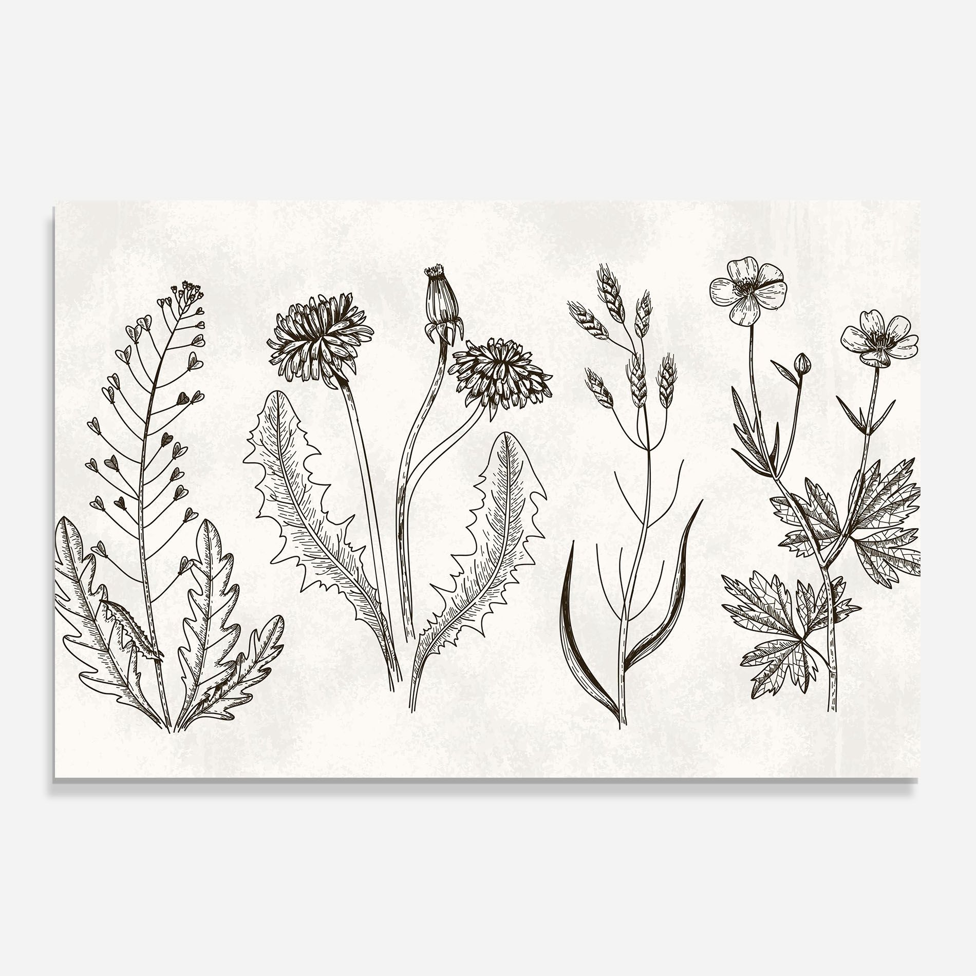 Black Line White mockup 0