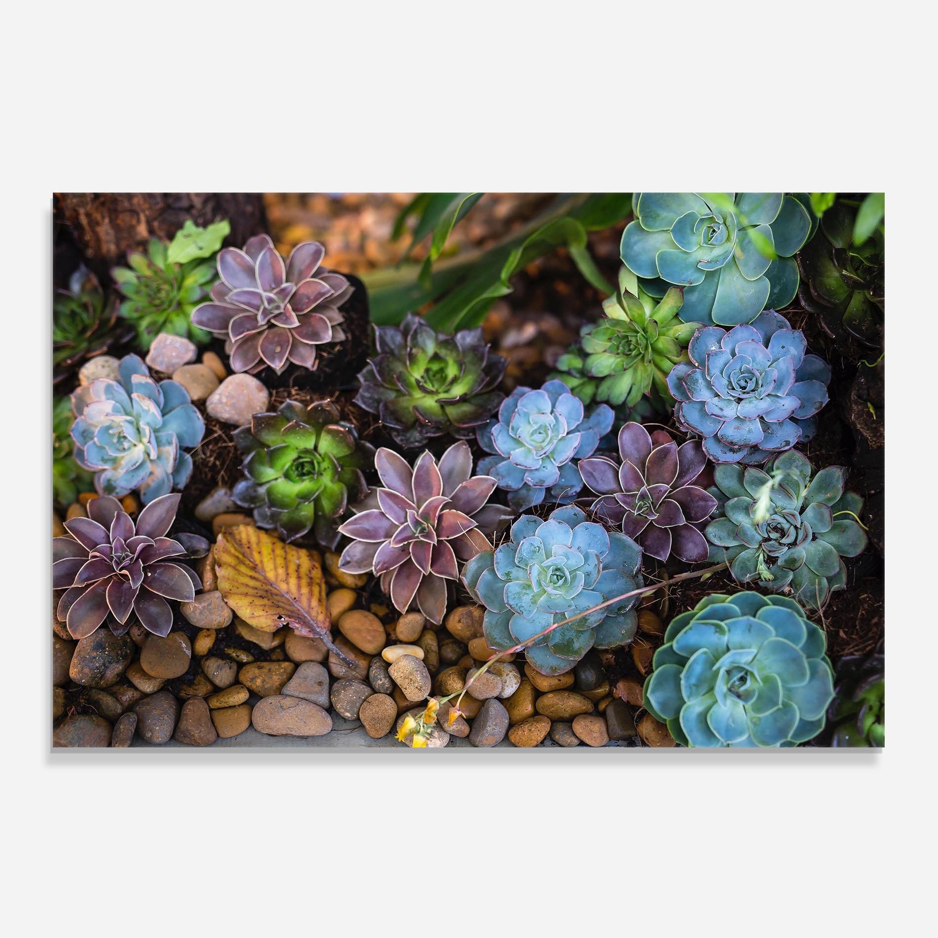 Panou Sticla Bucatarie Colorful Flowers mockup 0