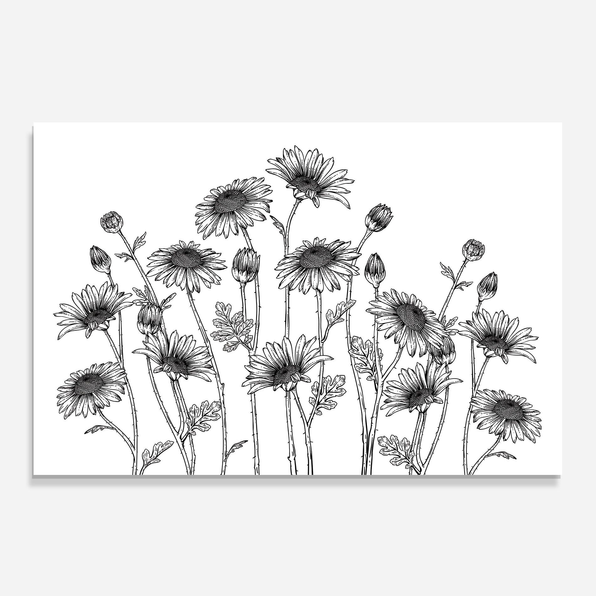 Daisy Black Line mockup 0