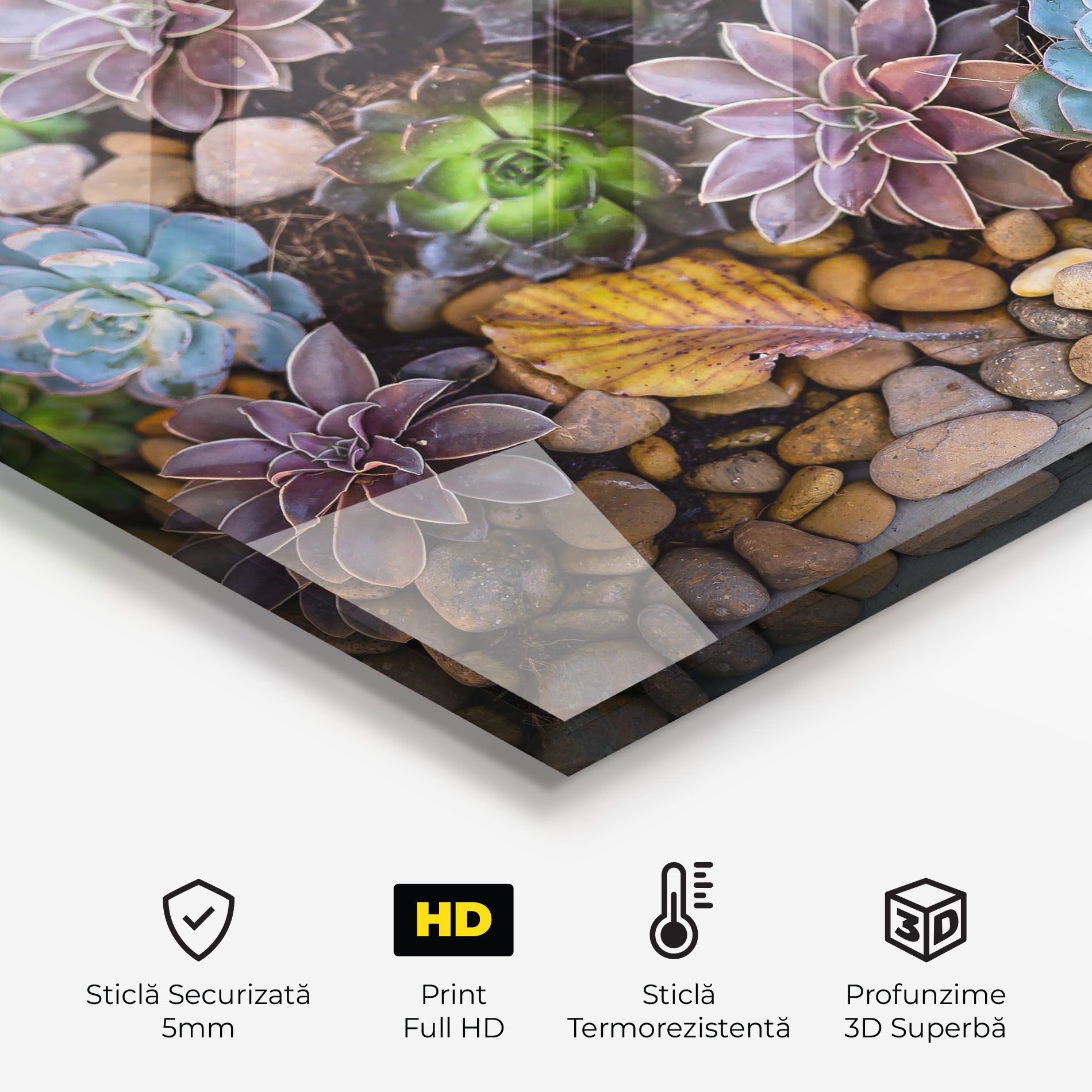 Colorful Flowers mockup 2