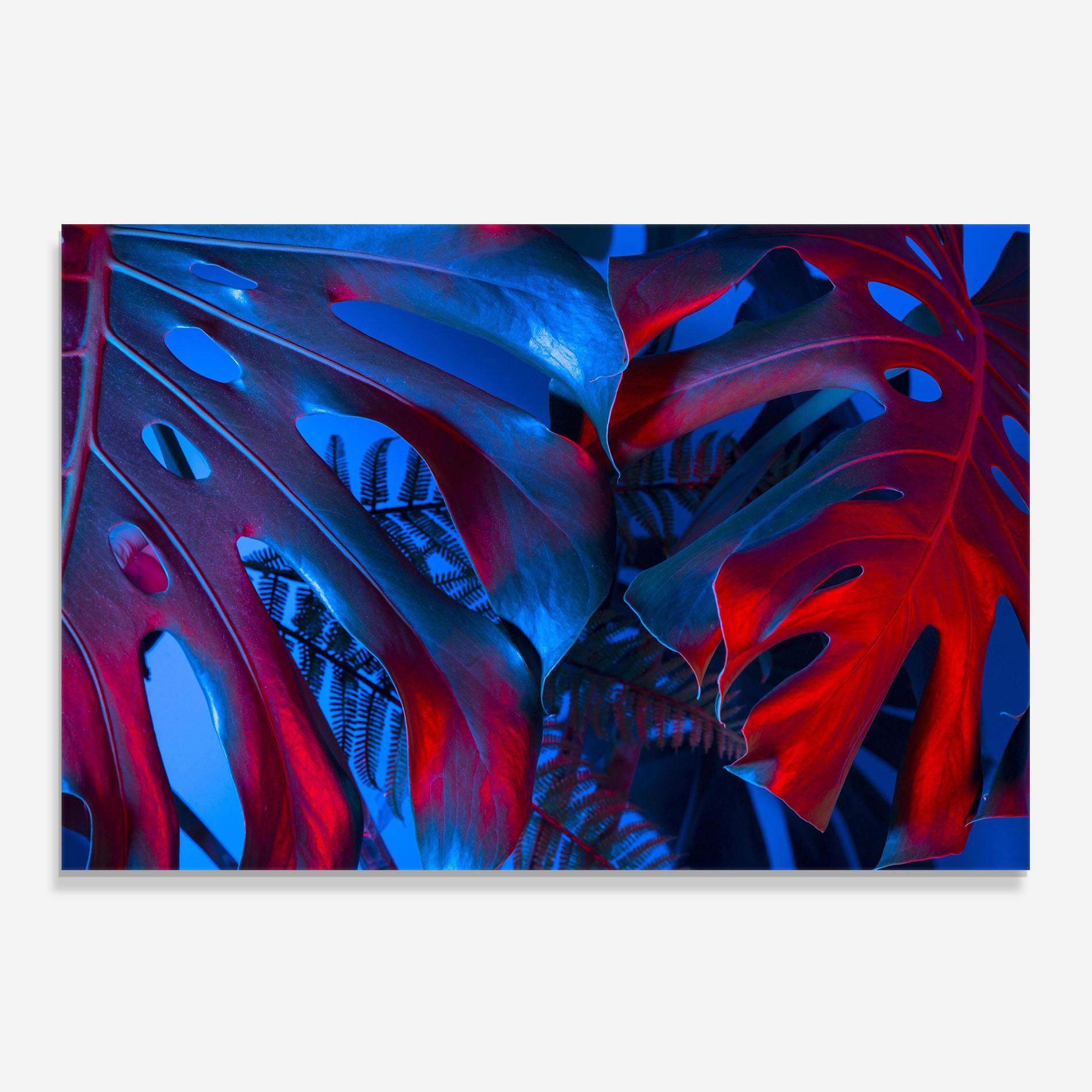 Panou Sticla Bucatarie Exotic Blue Leaf mockup 0