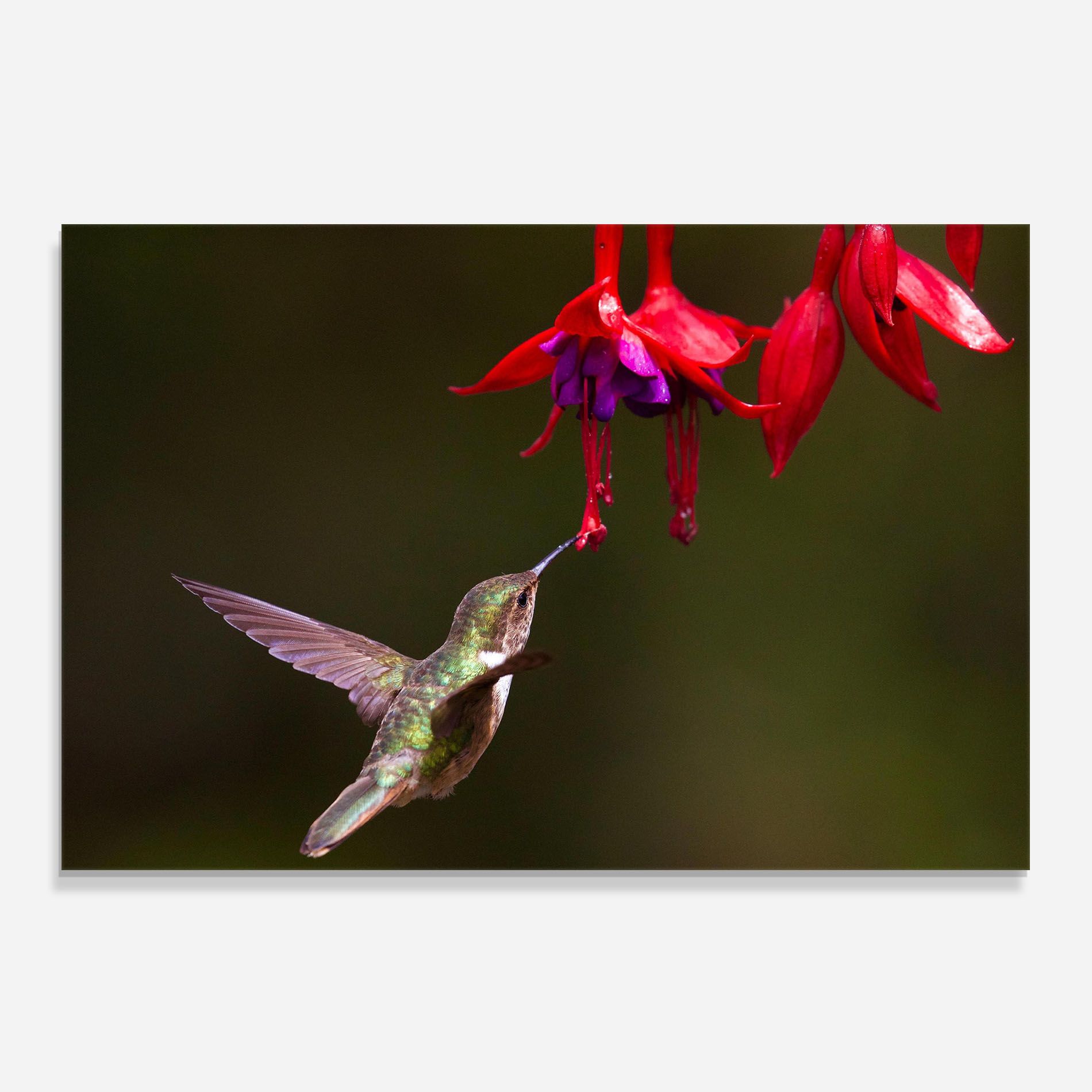 Exotic Flower Bird mockup 0