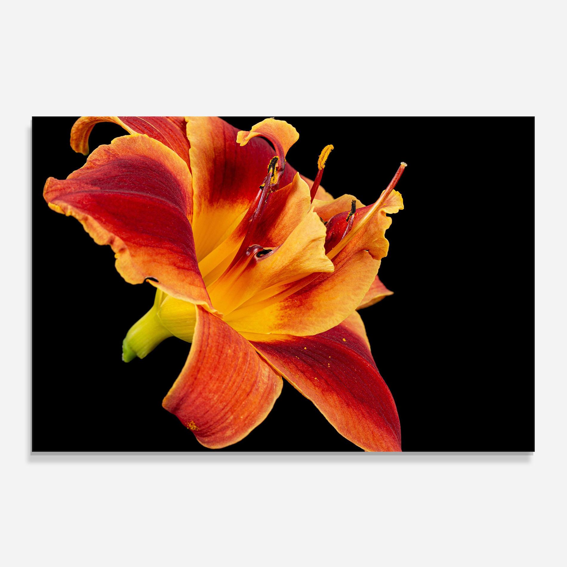 Panou Sticla Bucatarie Exotic Orange Red mockup 0