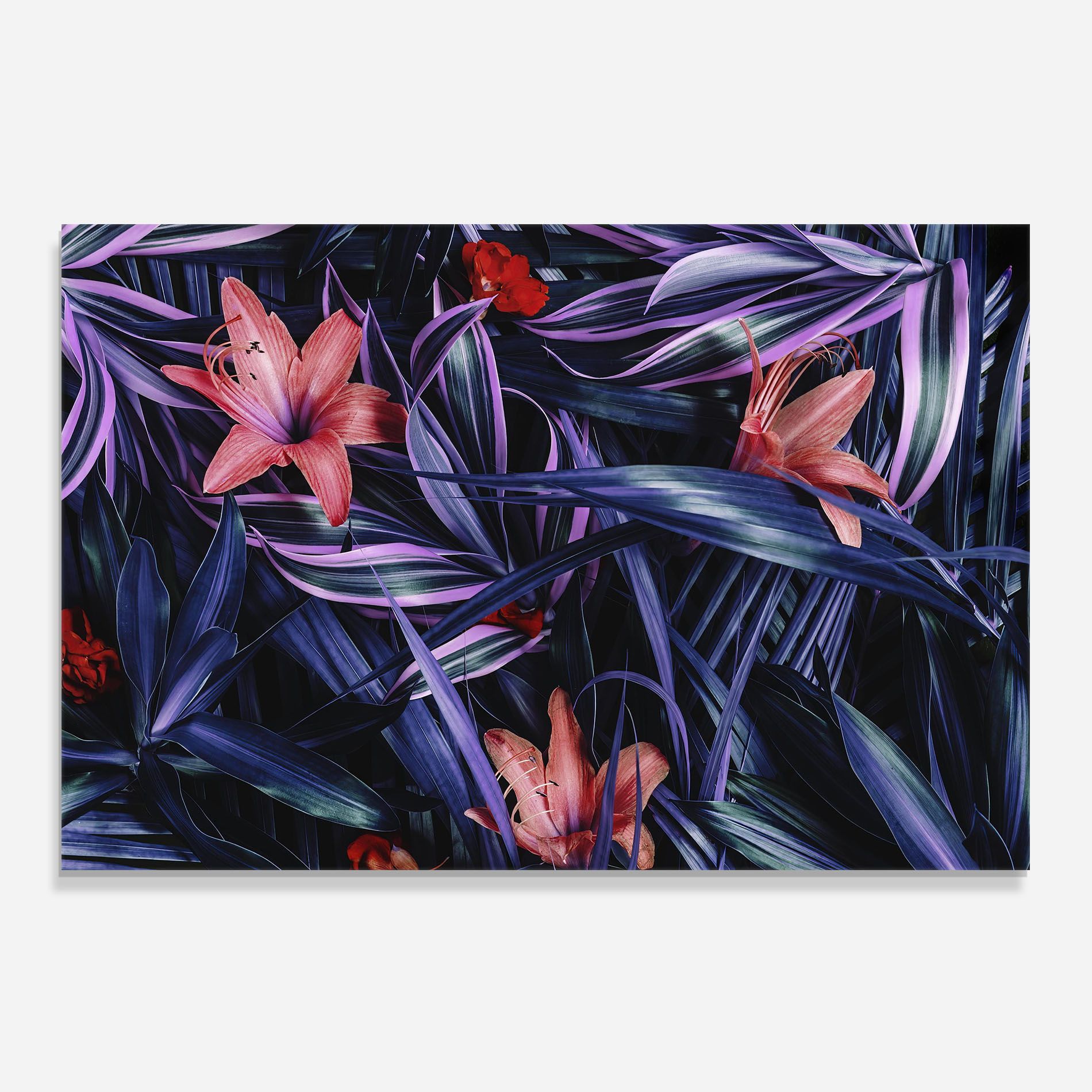 Pink Purple Exotic mockup 0