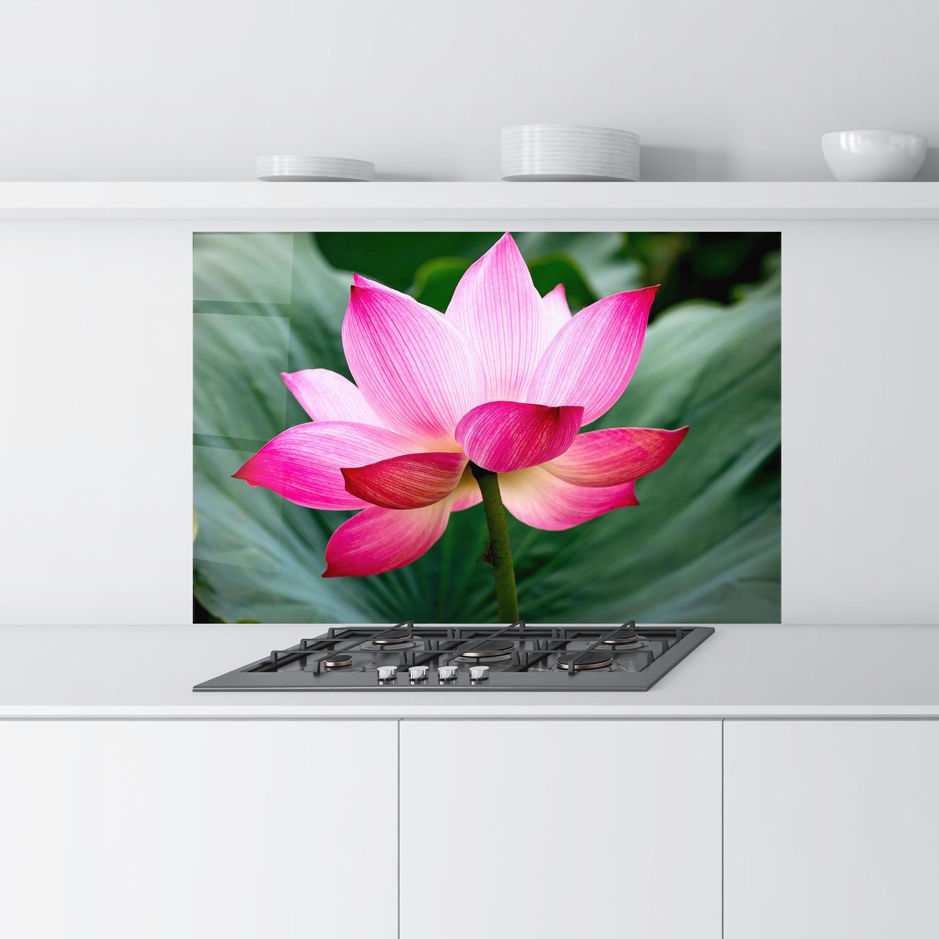 Panou Sticla Bucatarie Beautiful Pink Exotic mockup 9