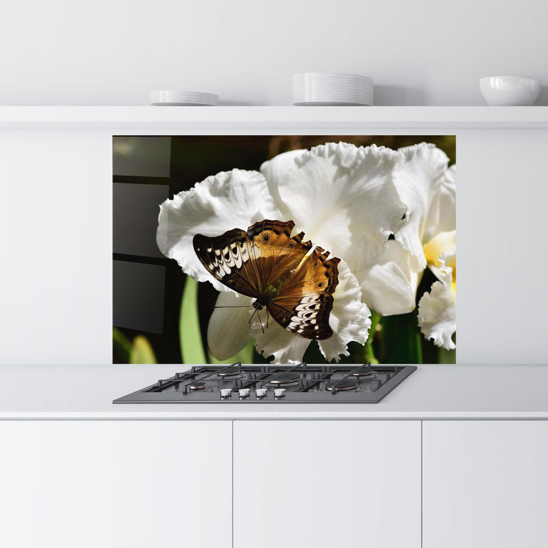 Panou Sticla Bucatarie Butterfly Exotic Plant mockup 9