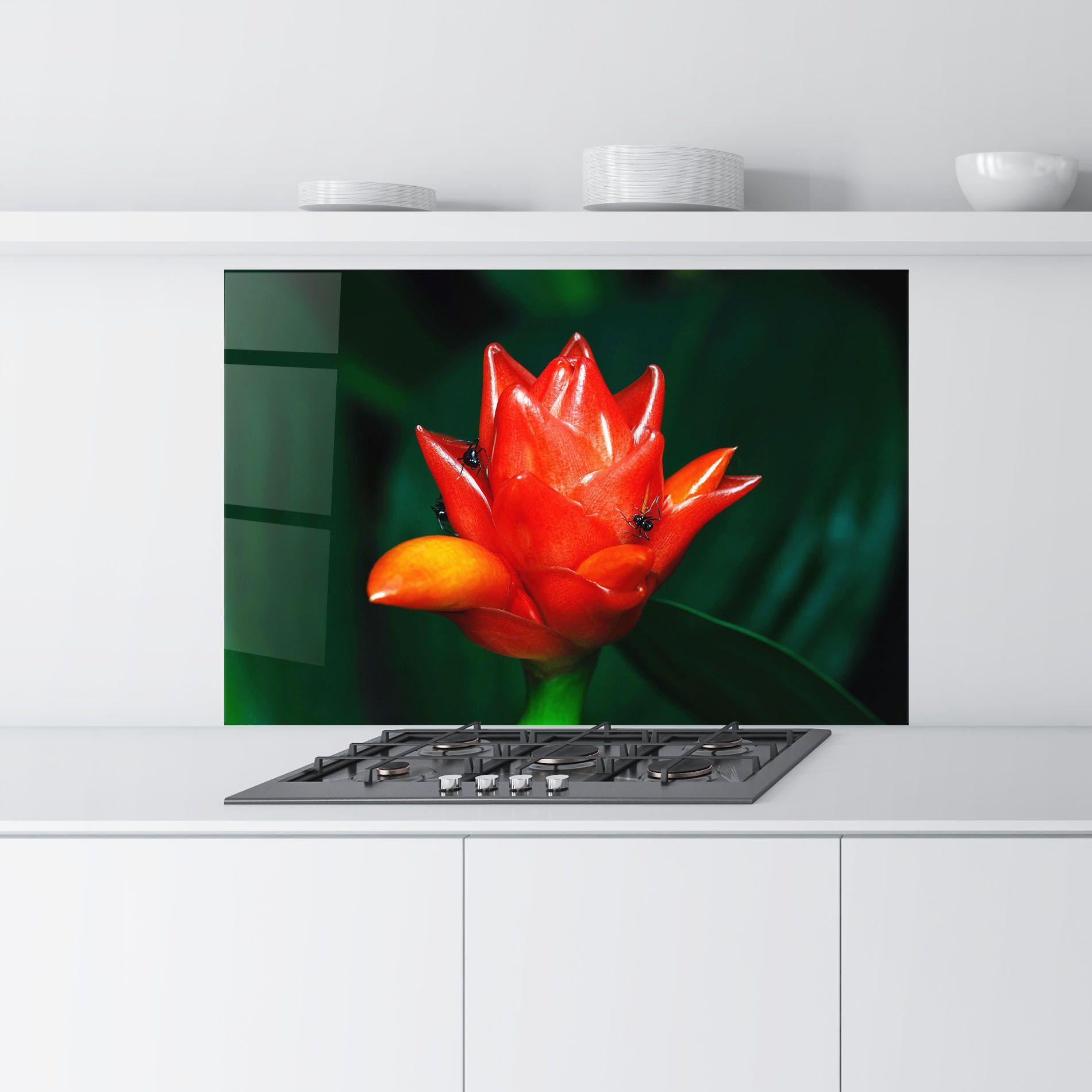 Cool Orange Exotic mockup 9