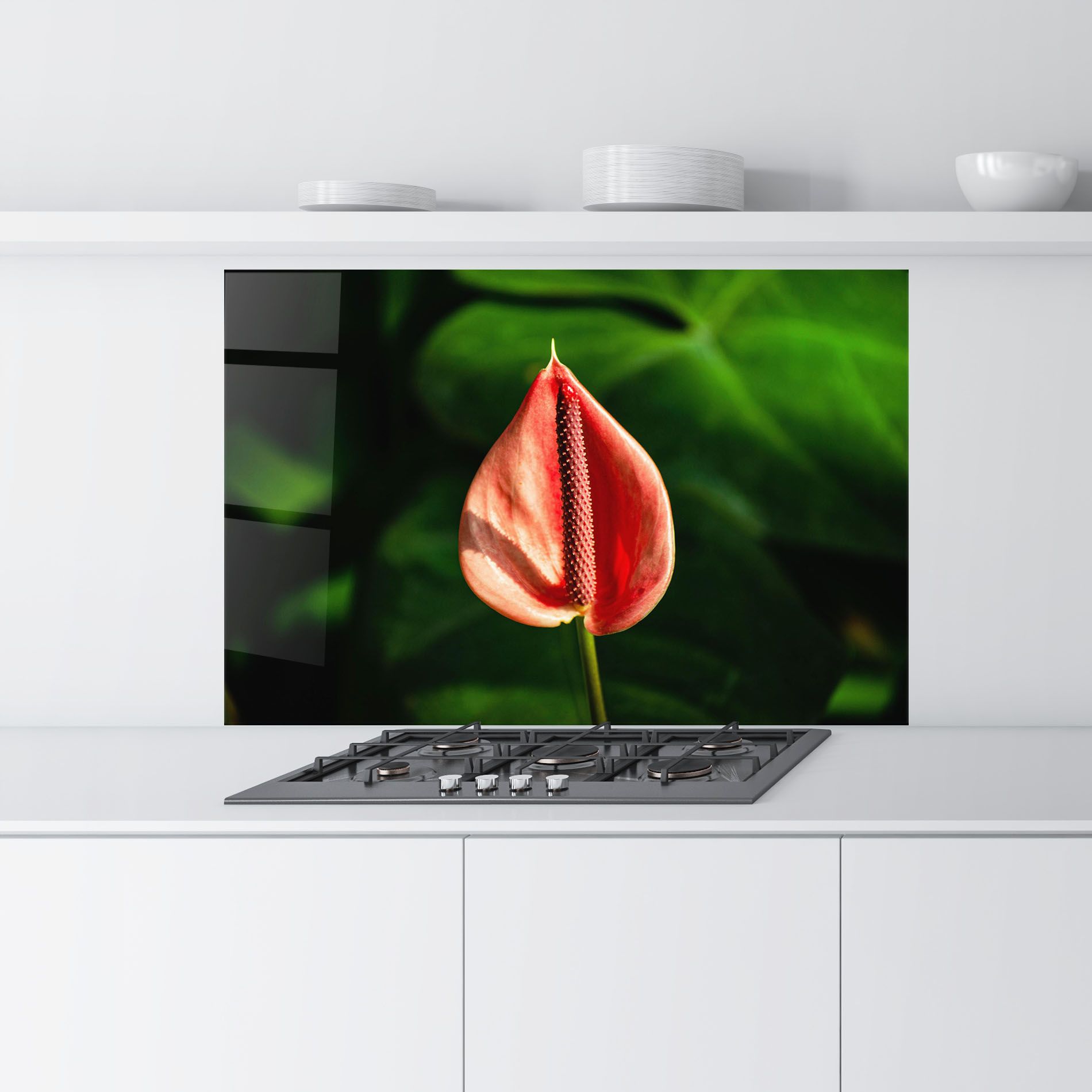 Plant Exotic Red mockup 9