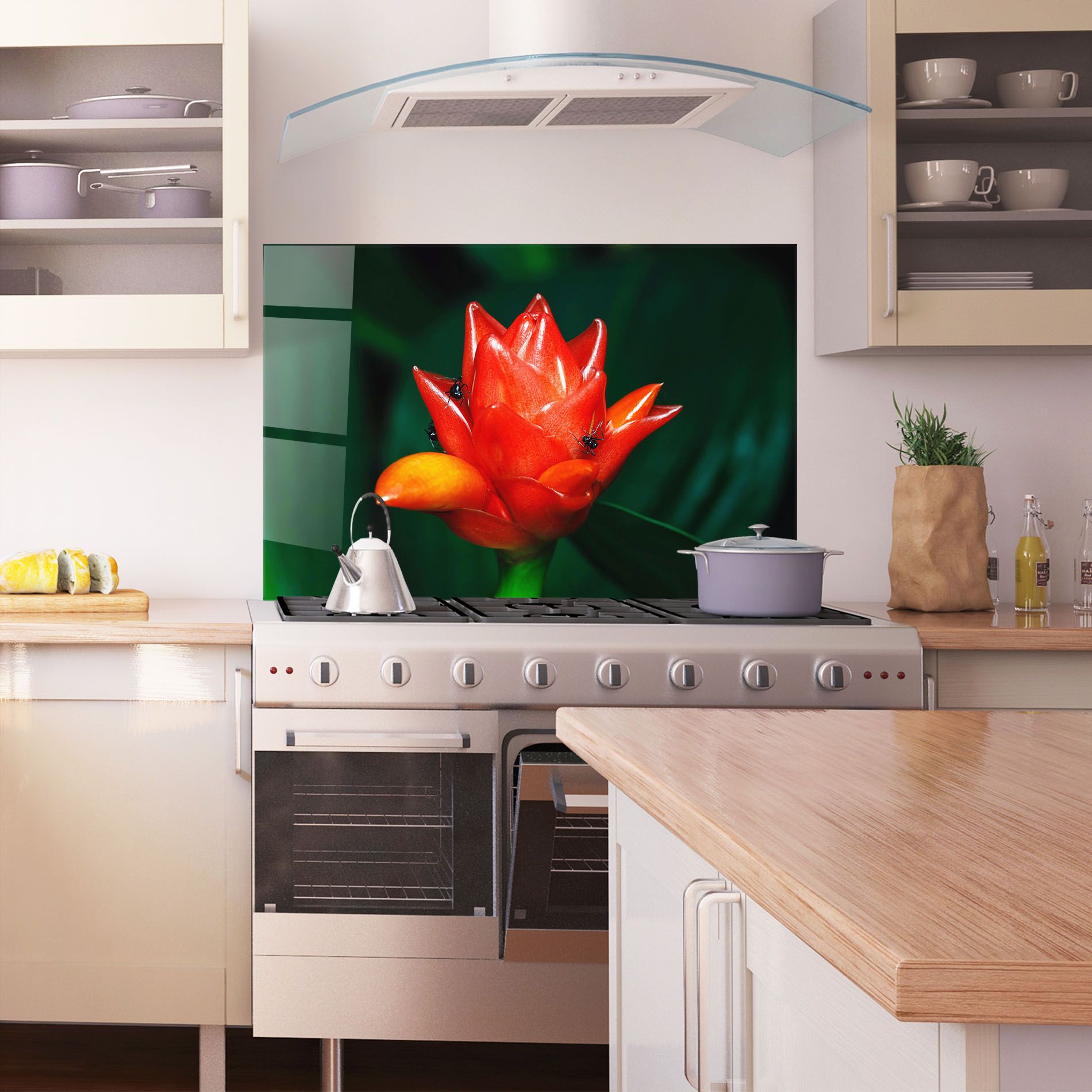 Cool Orange Exotic mockup 1