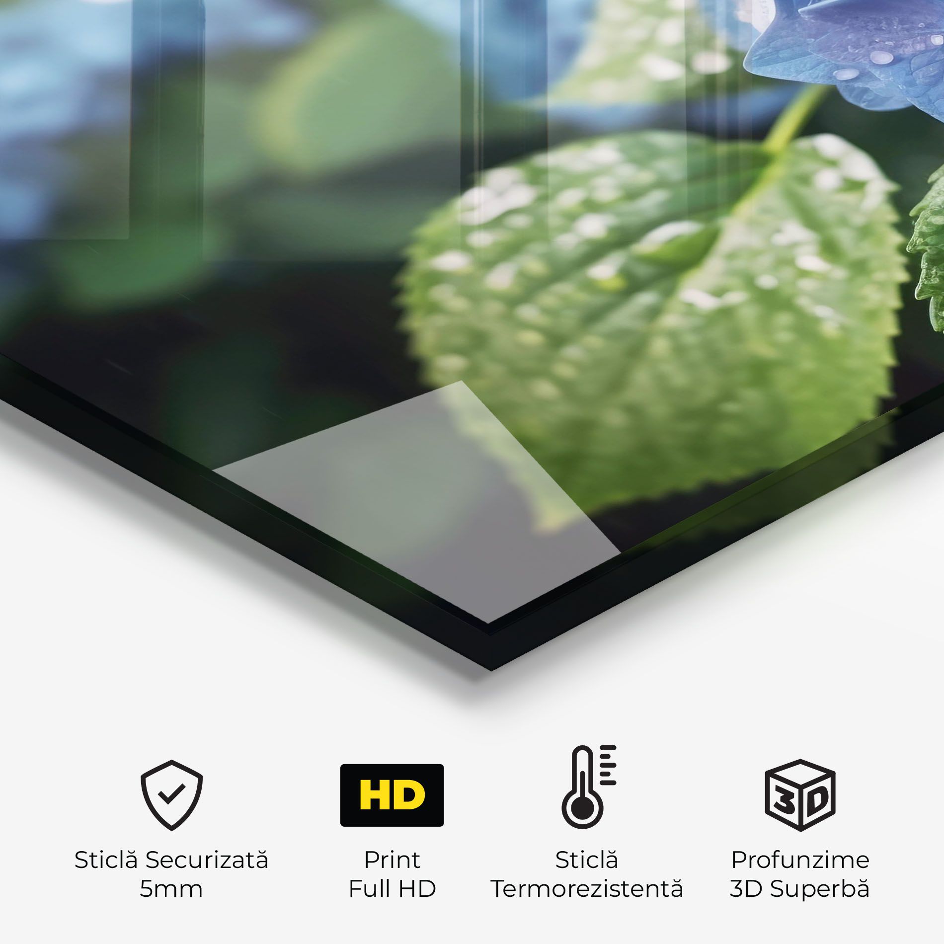 Blue Rainy Exotic mockup 2