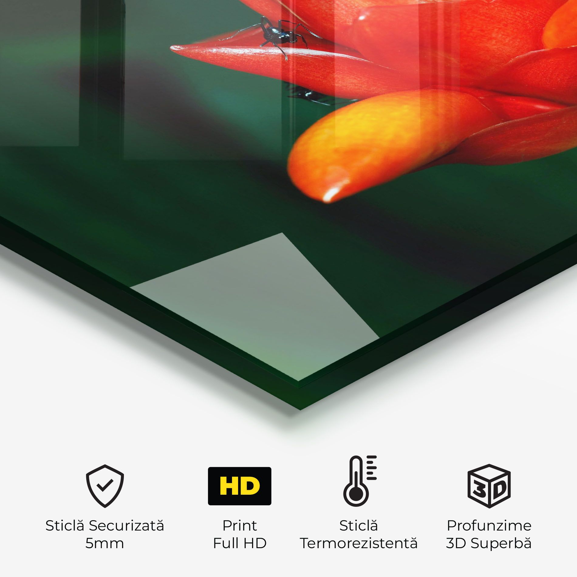 Cool Orange Exotic mockup 2