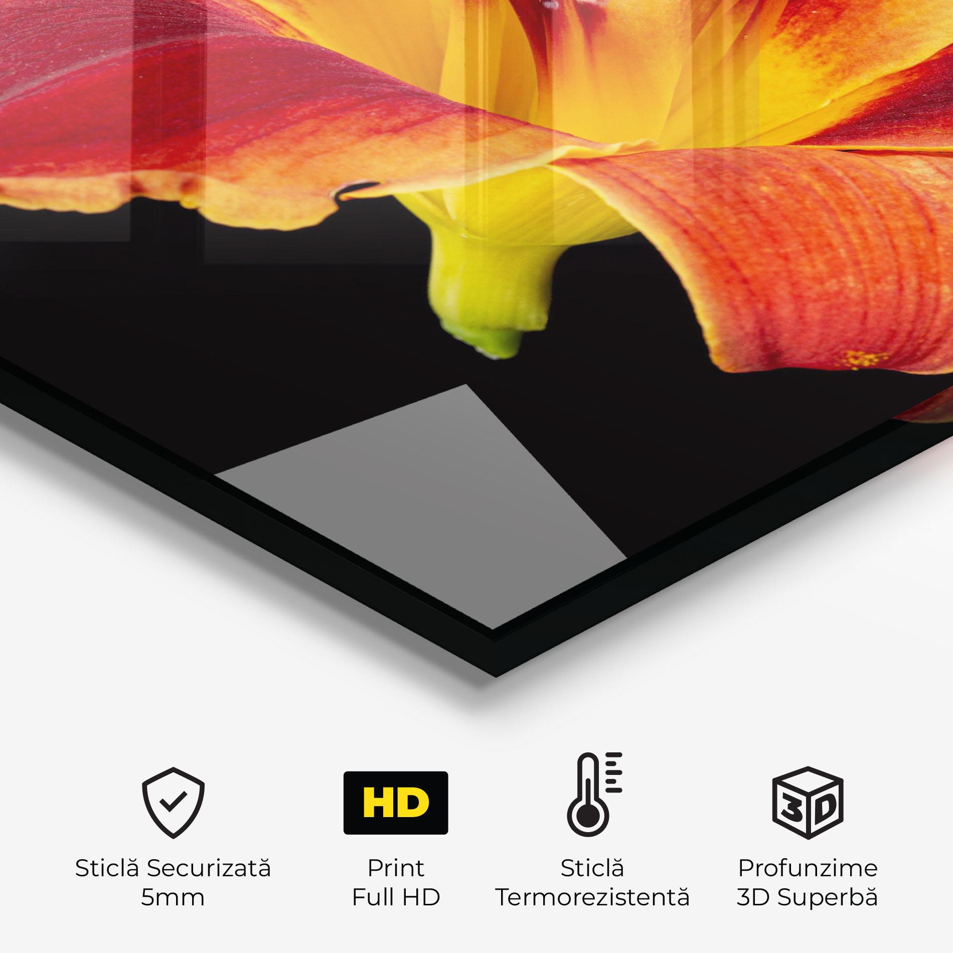 Panou Sticla Bucatarie Exotic Orange Red mockup 2