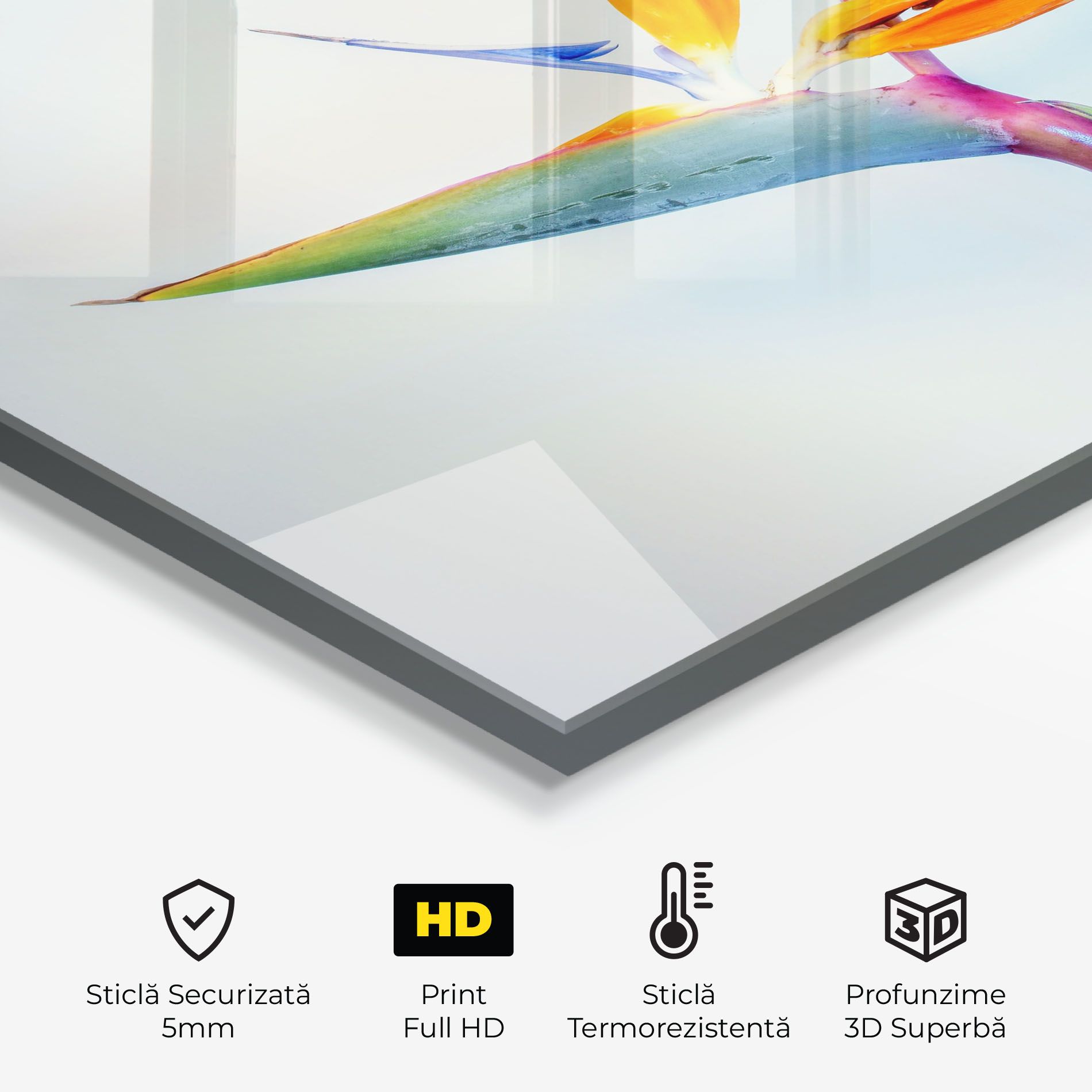 Green Orange Exotic mockup 2