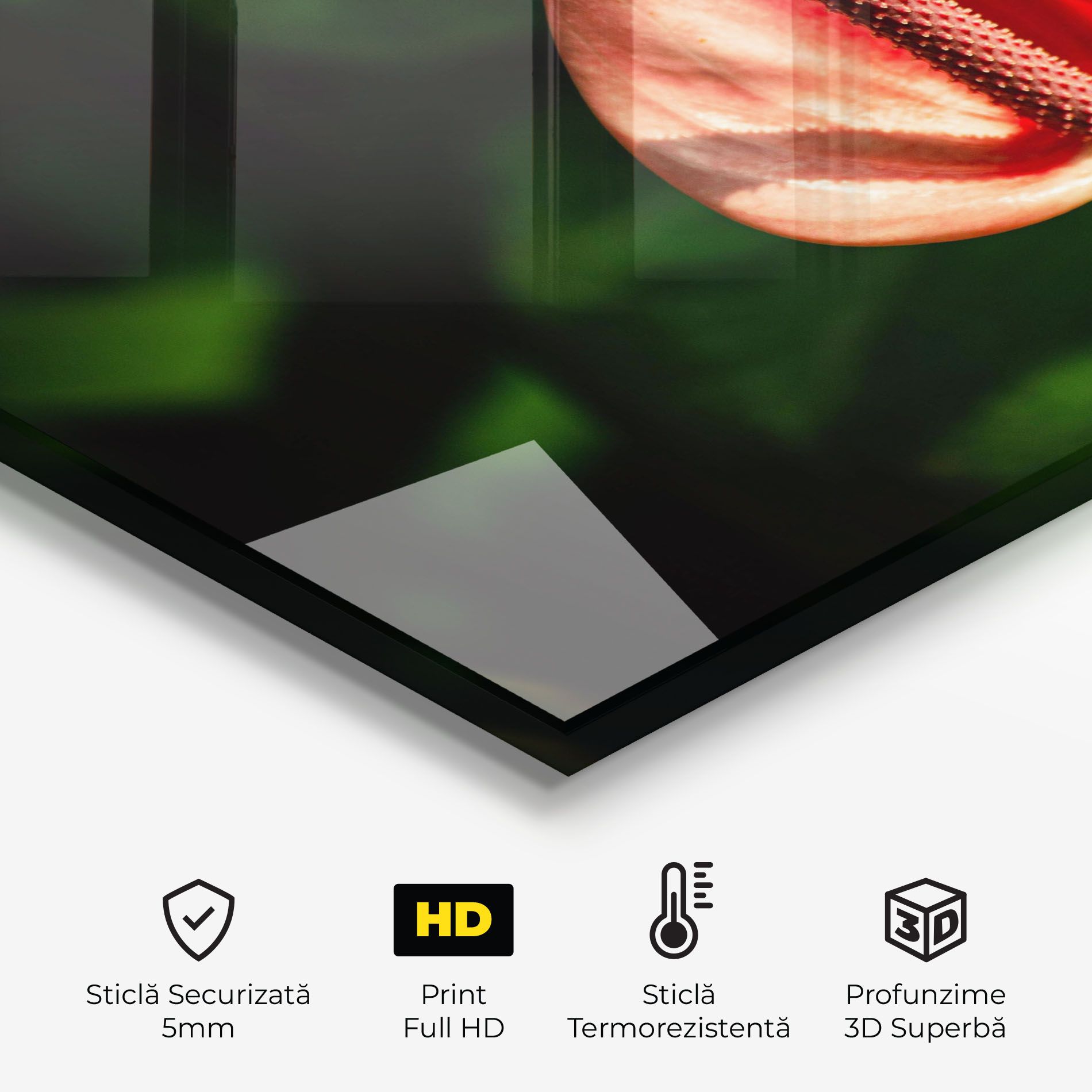 Plant Exotic Red mockup 2