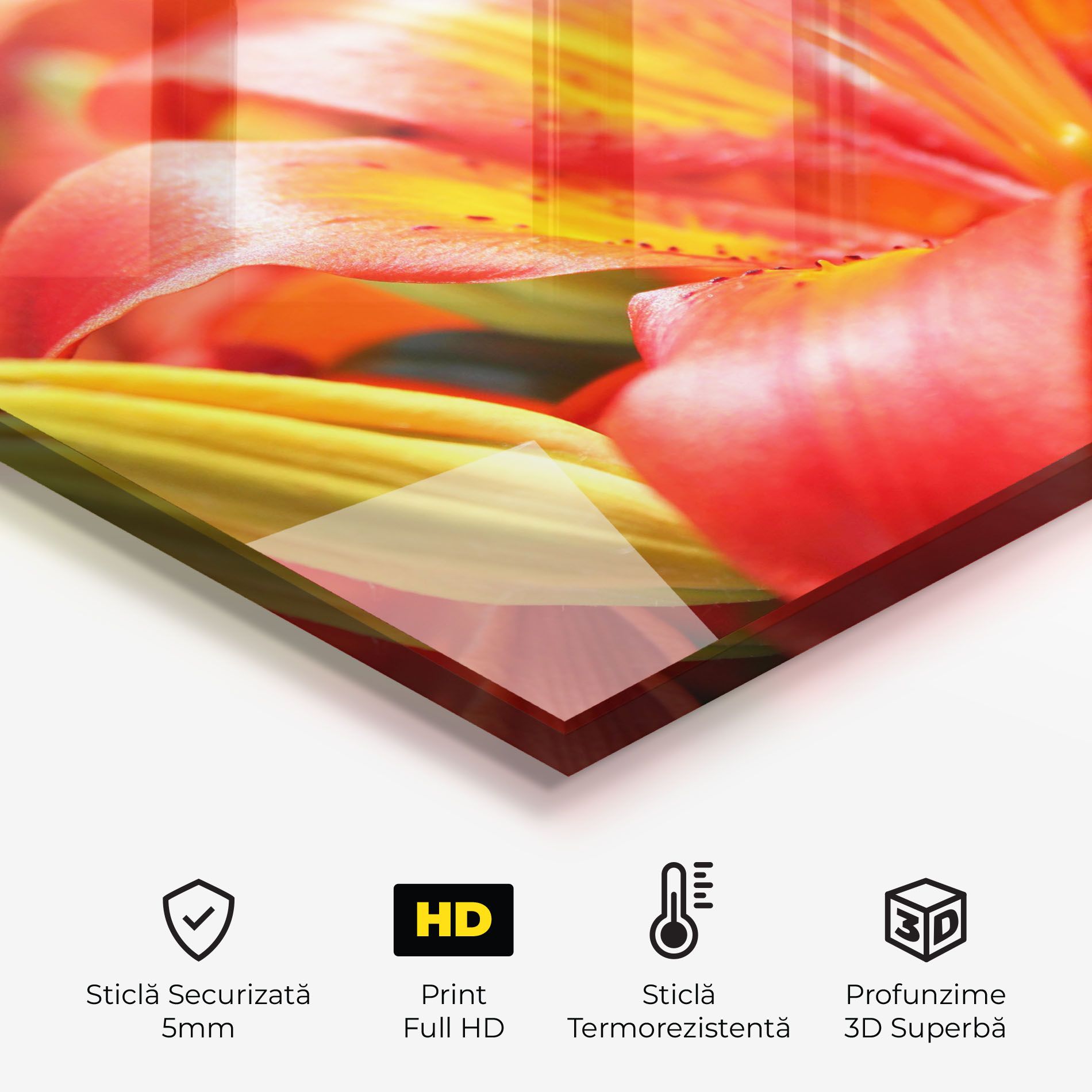 Pretty Orange Exotic mockup 2