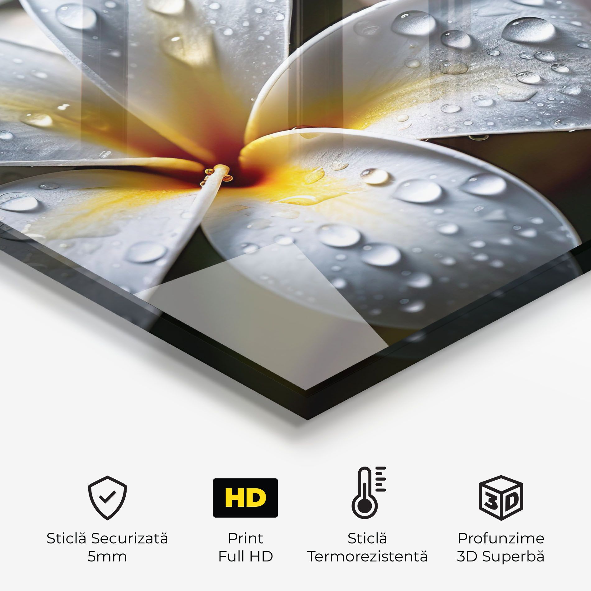 Rainy White Exotic mockup 2