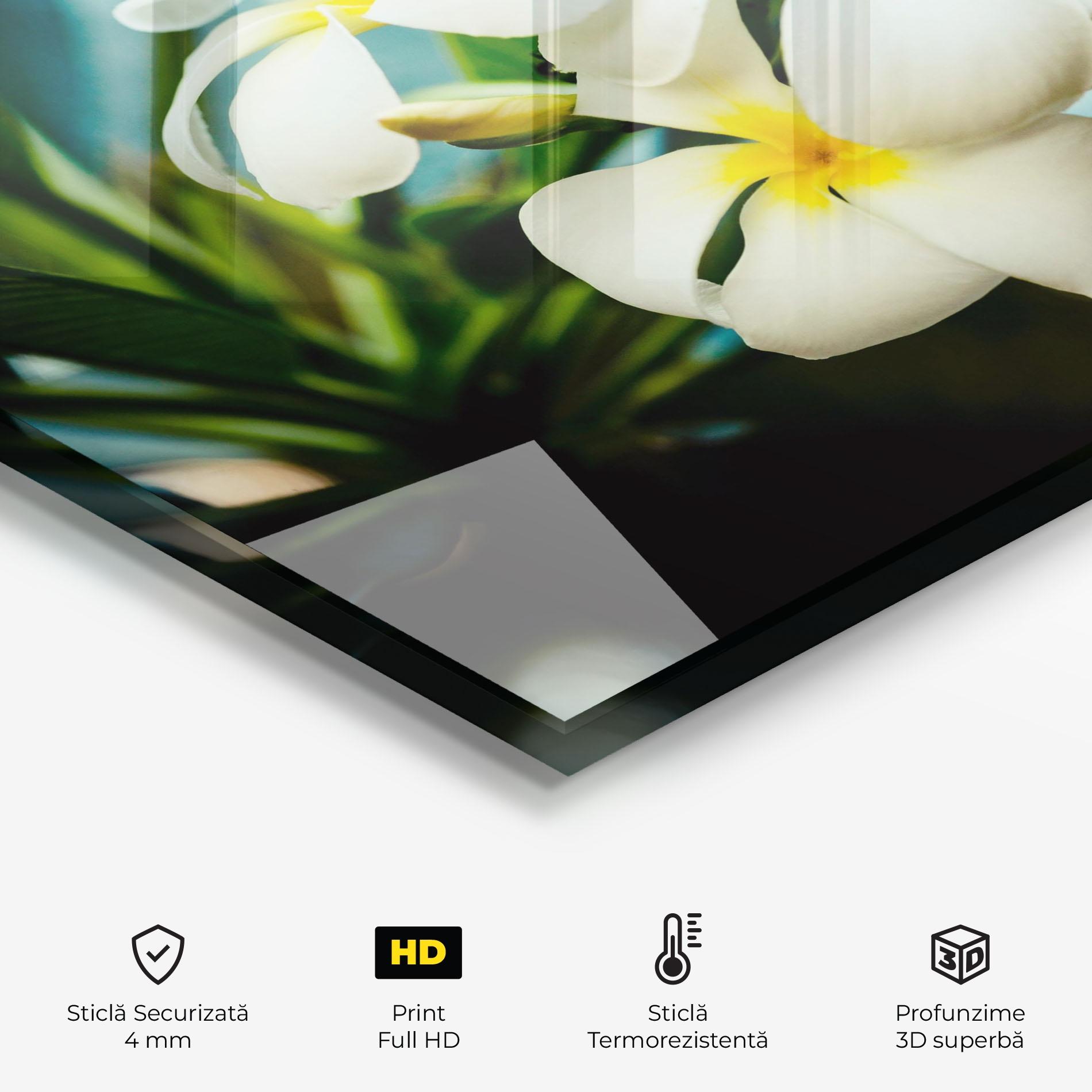 Panou Sticla Bucatarie Beautiful White Exotic mockup 2