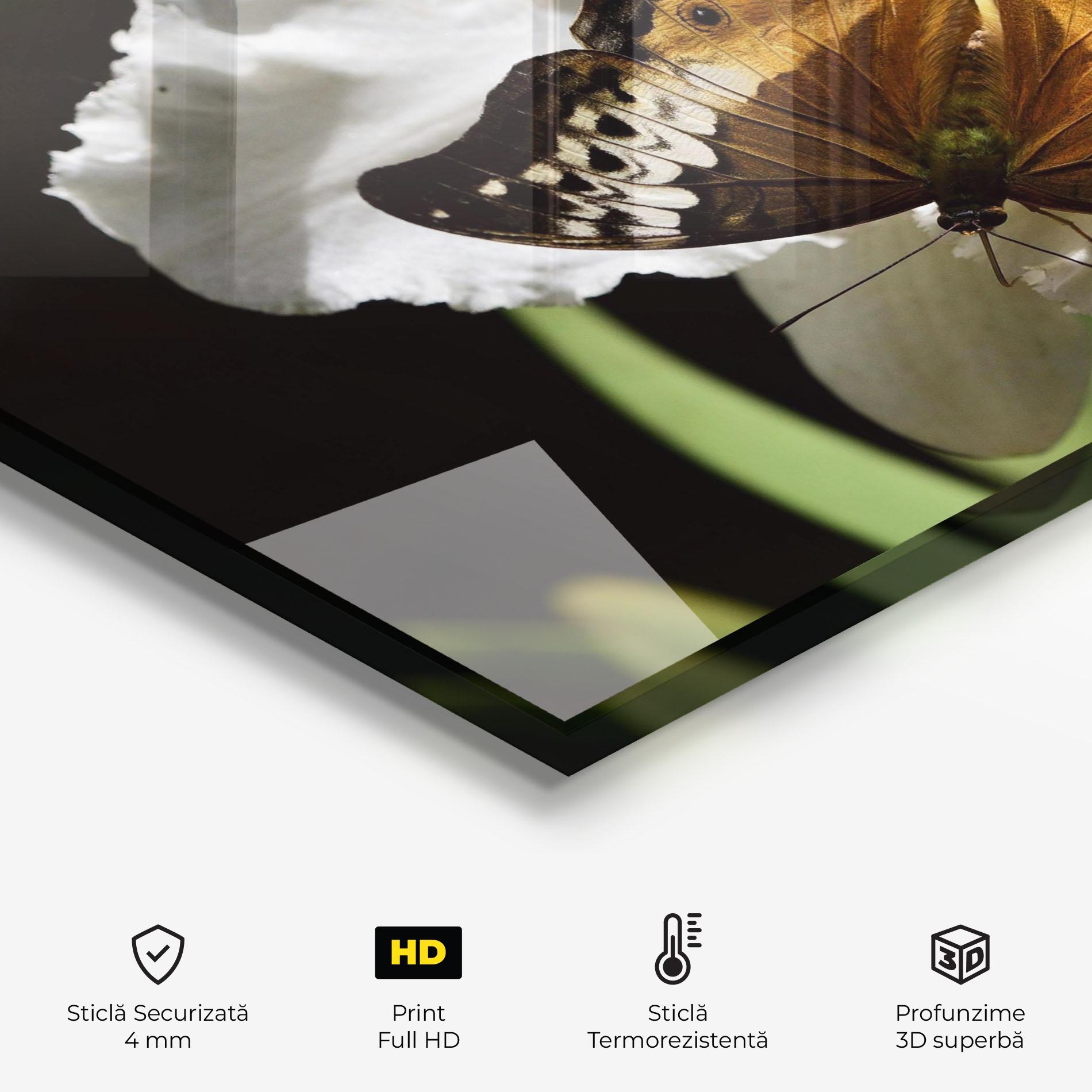 Panou Sticla Bucatarie Butterfly Exotic Plant mockup 2