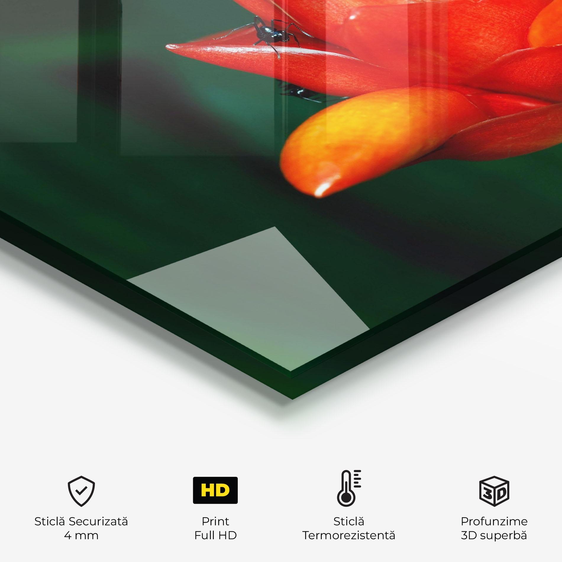 Panou Sticla Bucatarie Cool Orange Exotic mockup 2