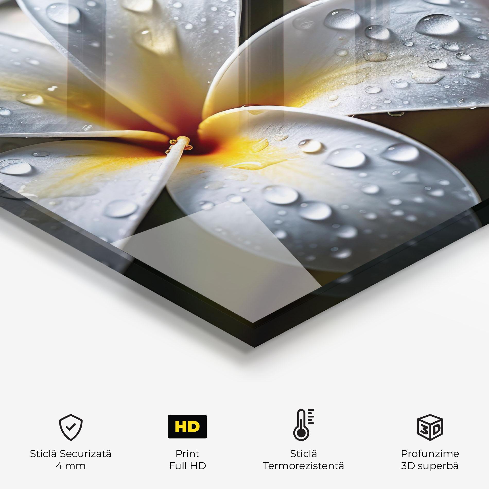 Panou Sticla Bucatarie Rainy White Exotic mockup 2