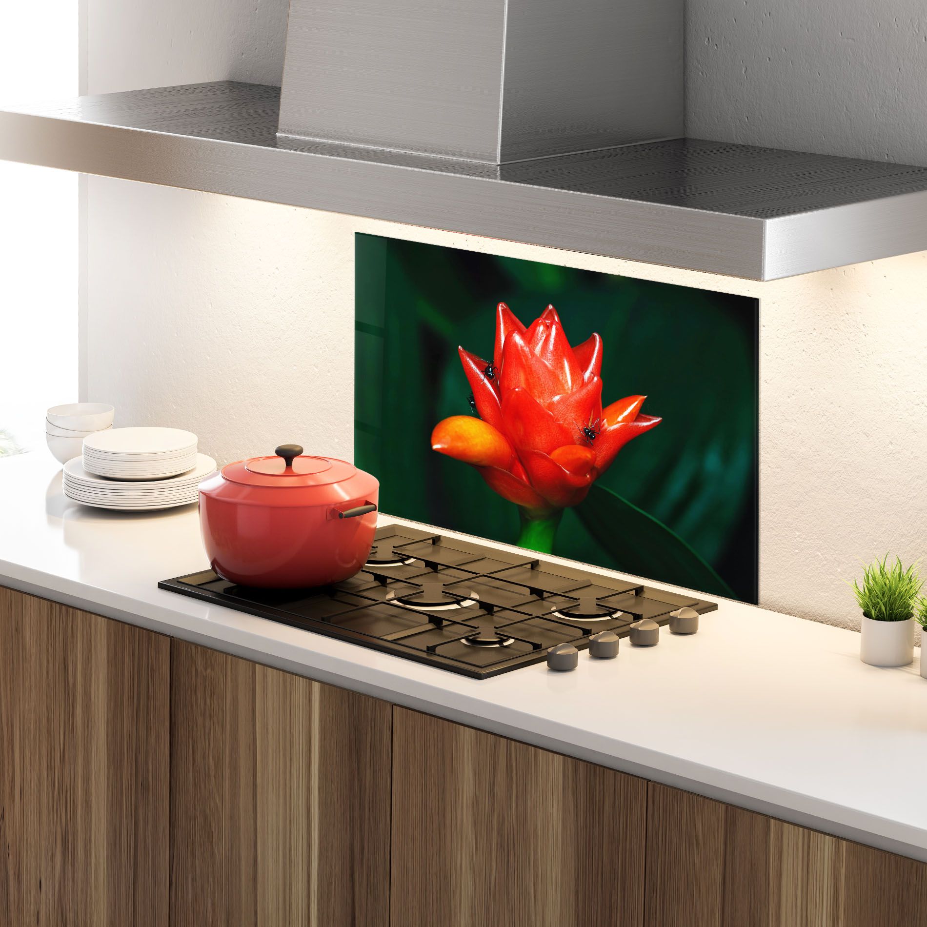 Cool Orange Exotic mockup 4