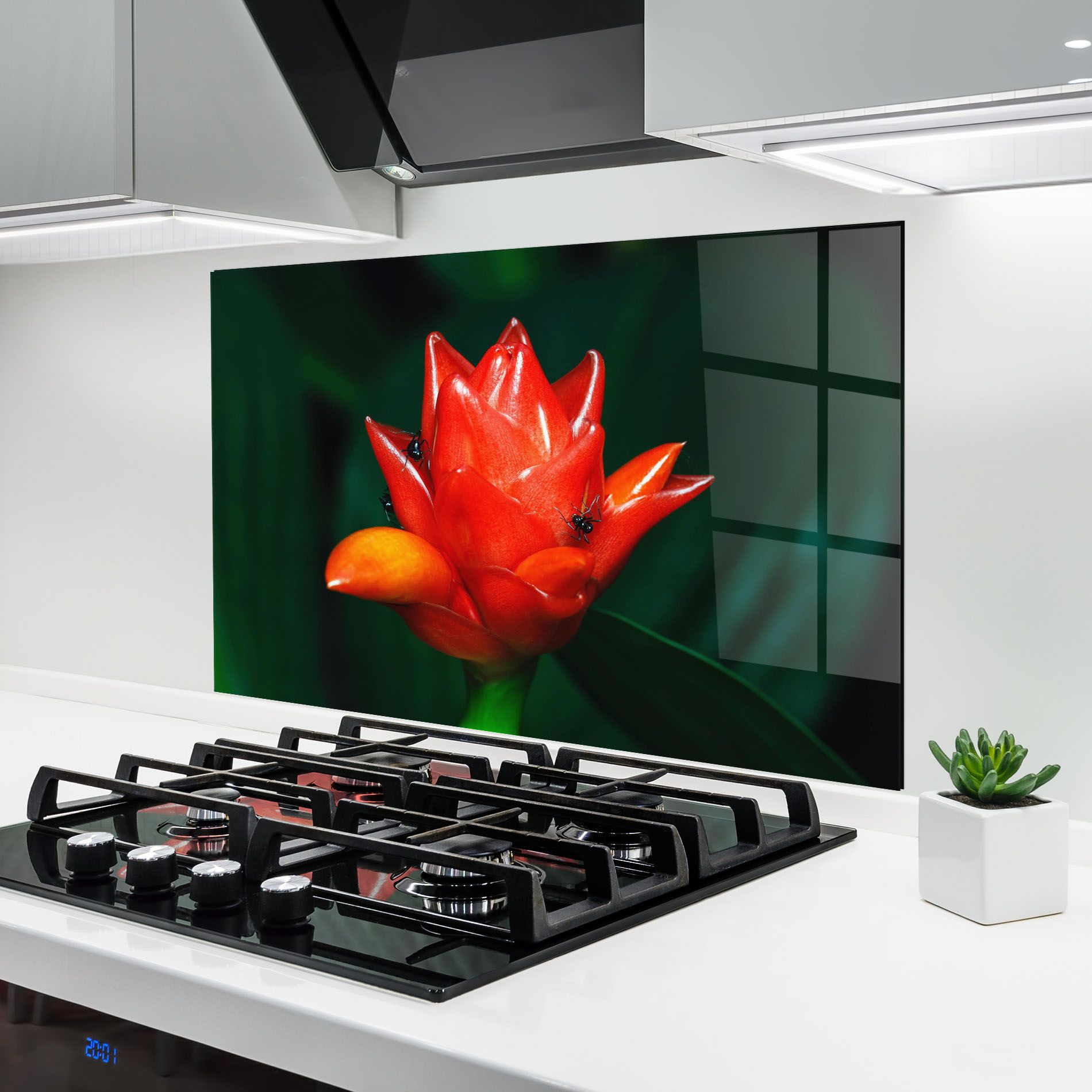 Cool Orange Exotic mockup 6