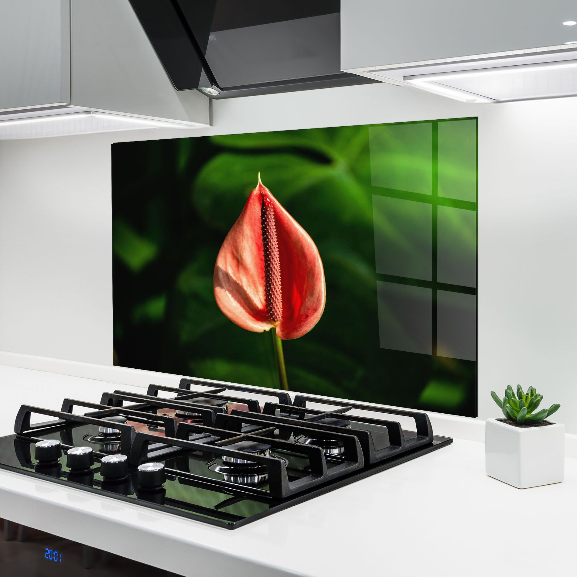 Plant Exotic Red mockup 6