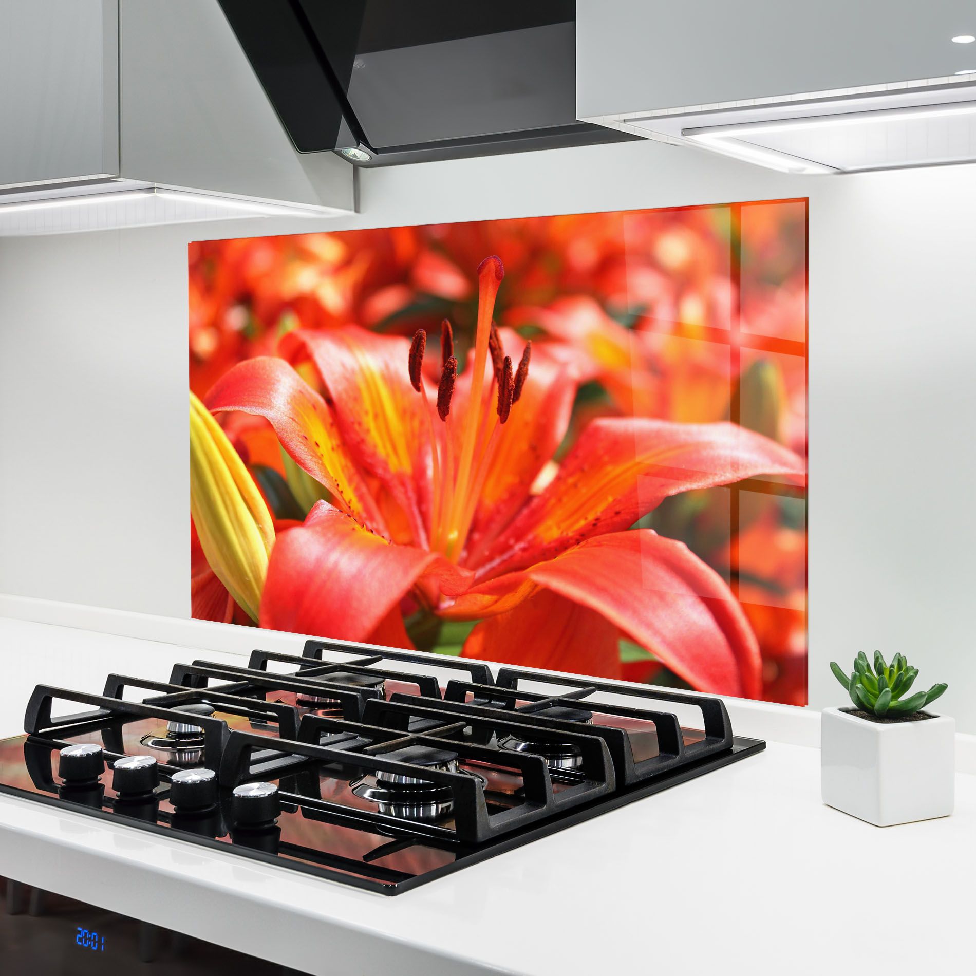 Pretty Orange Exotic mockup 6