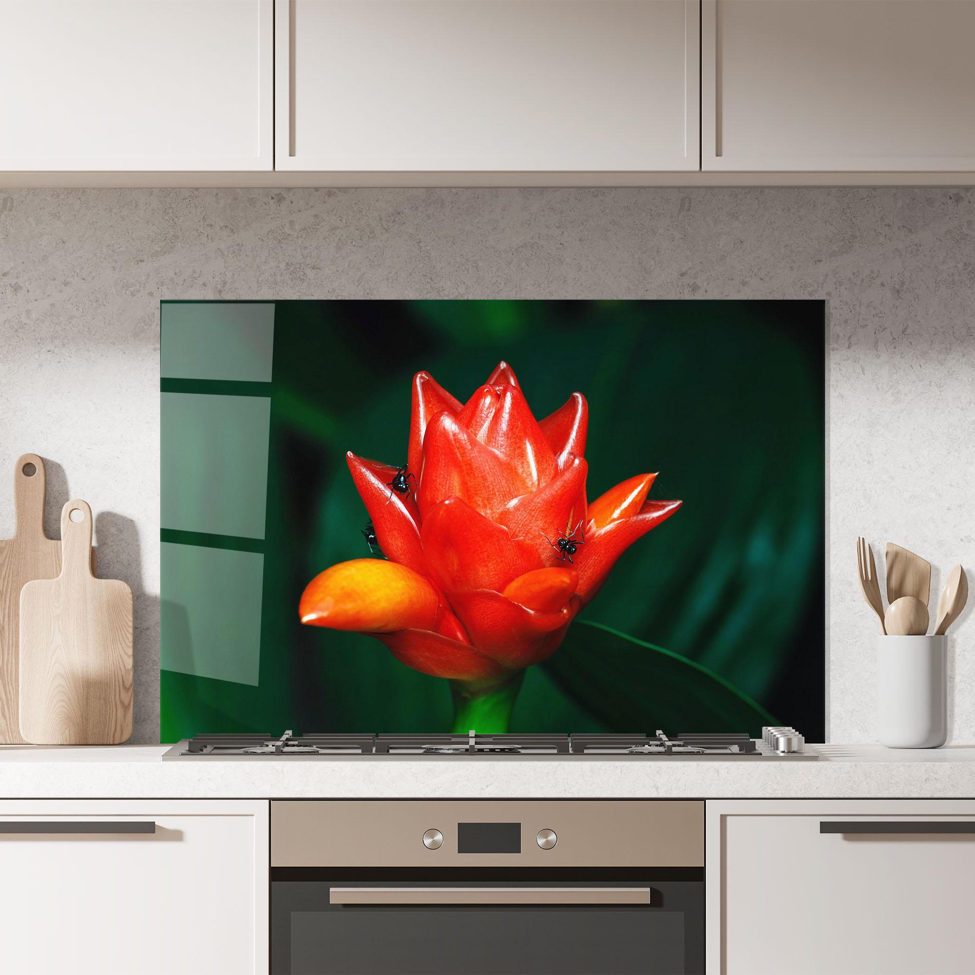 Panou Sticla Bucatarie Cool Orange Exotic mockup 7