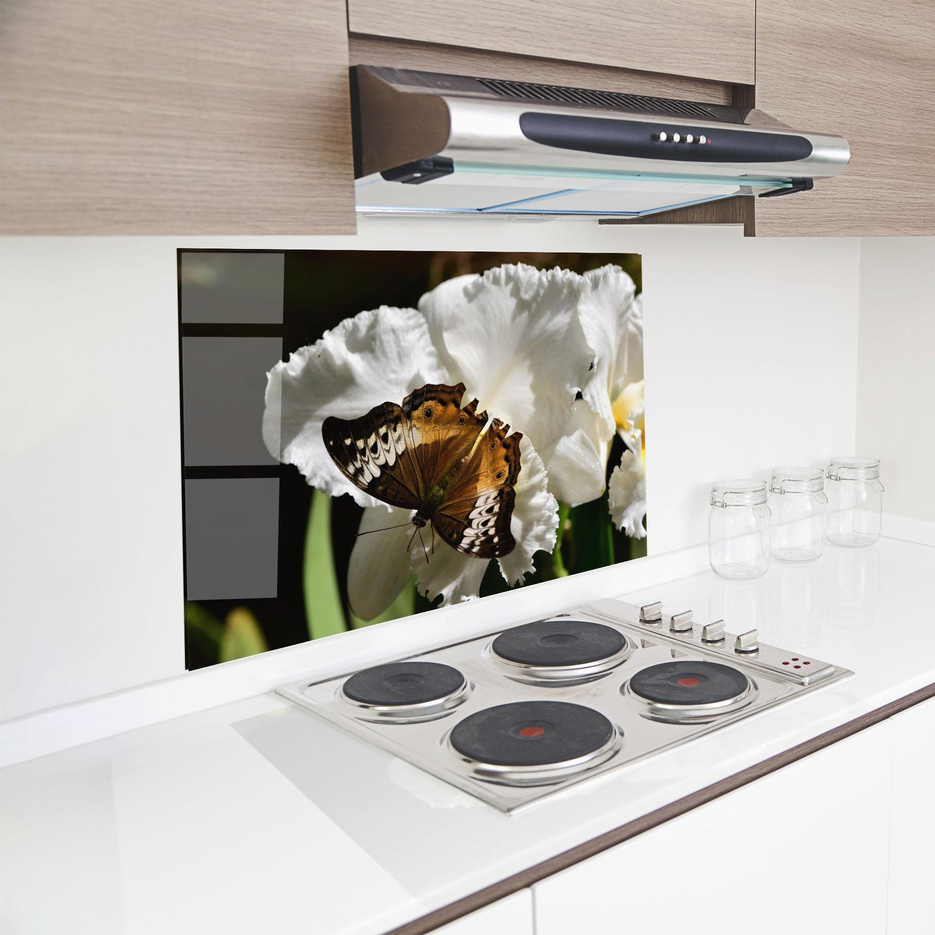 Panou Sticla Bucatarie Butterfly Exotic Plant mockup 8