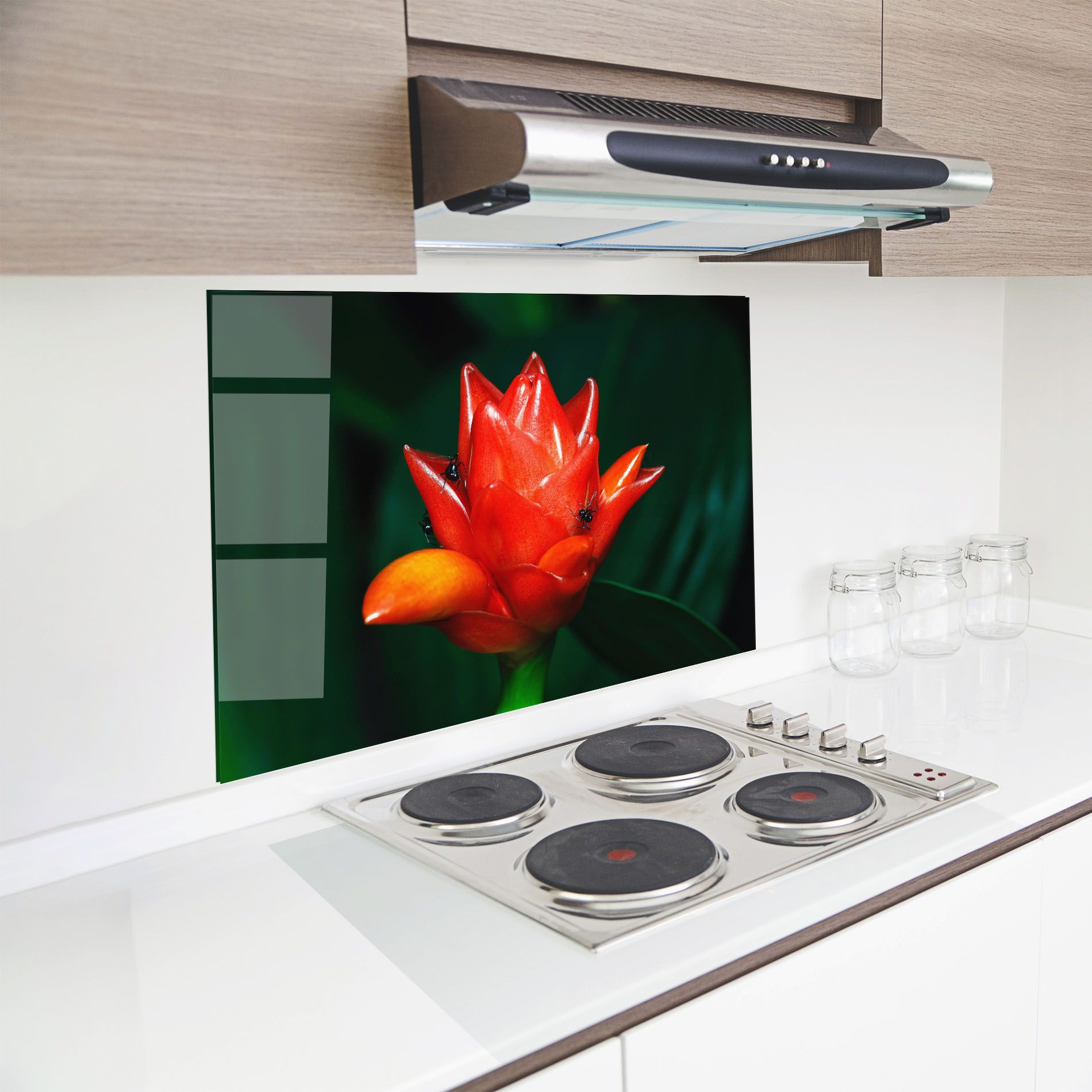 Cool Orange Exotic mockup 8