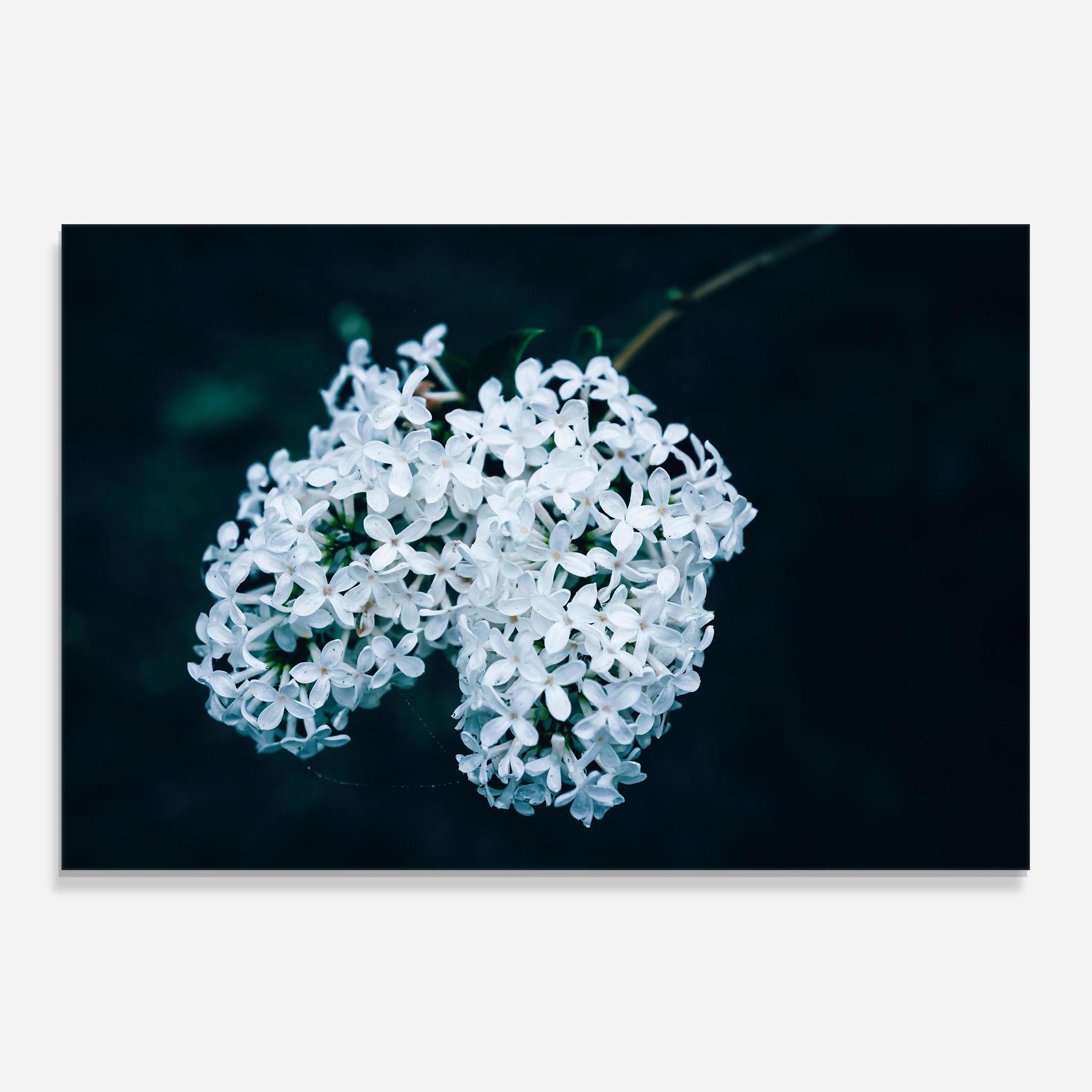 Panou Sticla Bucatarie Green Light Flower mockup 0