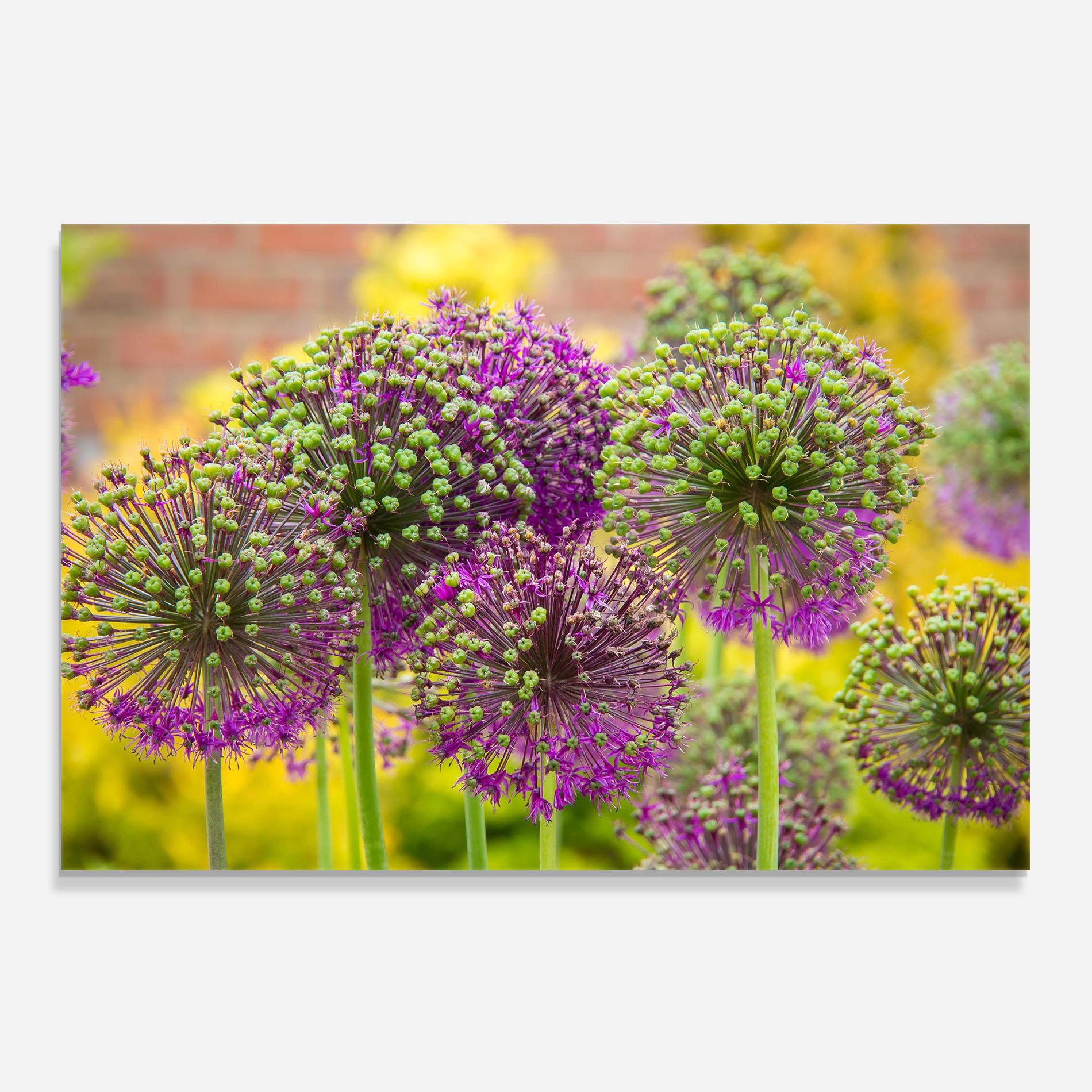 Panou Sticla Bucatarie Green Purple Garden mockup 0