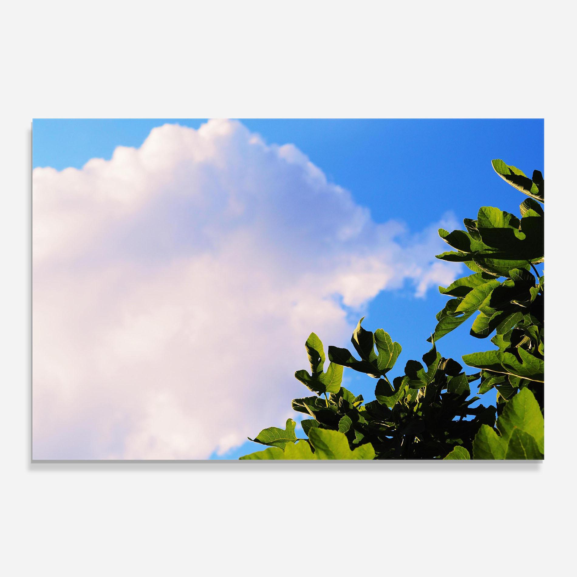 Panou Sticla Bucatarie J Cruikshank Lhzagi8n3oi Unsplash mockup 0