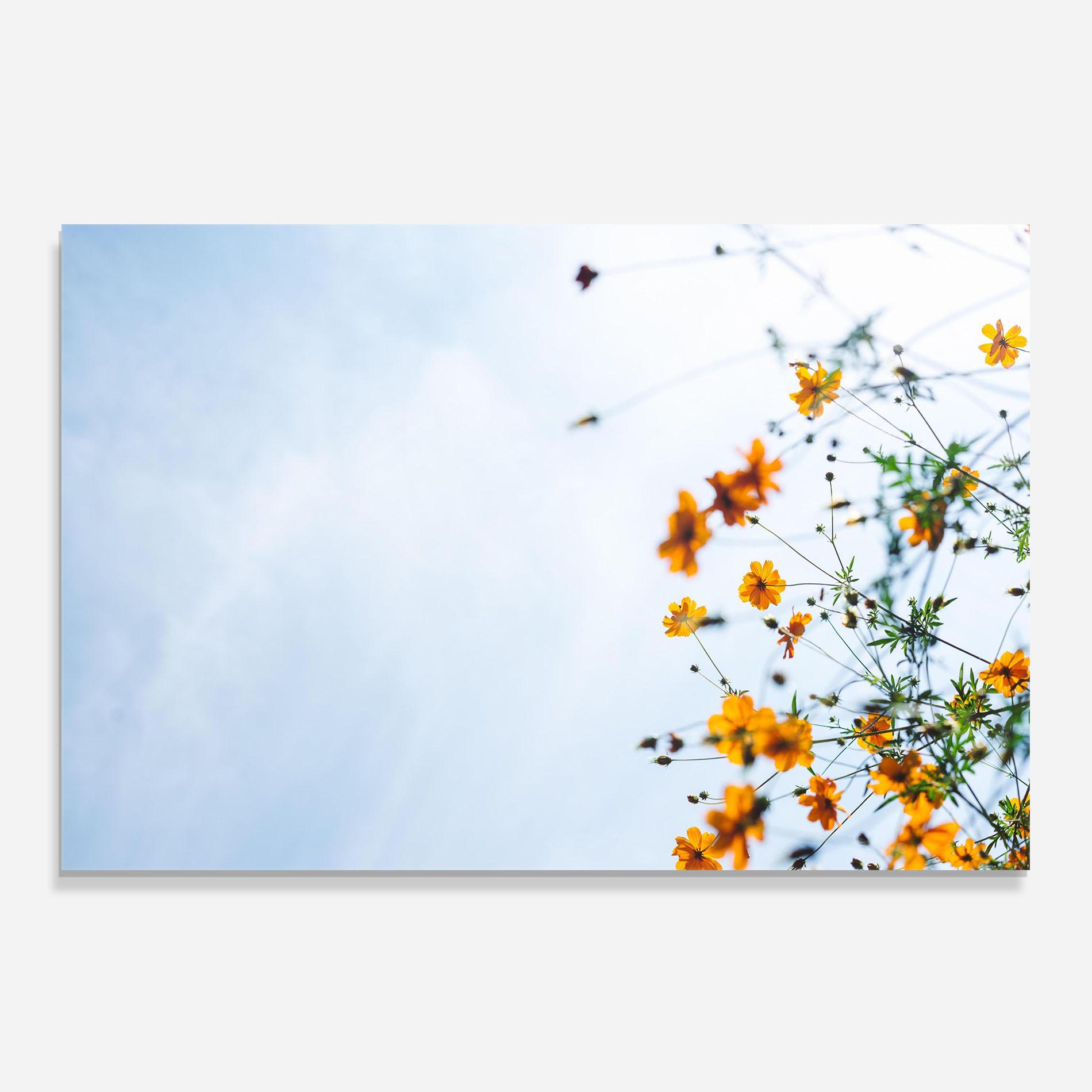 Panou Sticla Bucatarie Masaaki Komori 7xp5bj34ybg Unsplash mockup 0