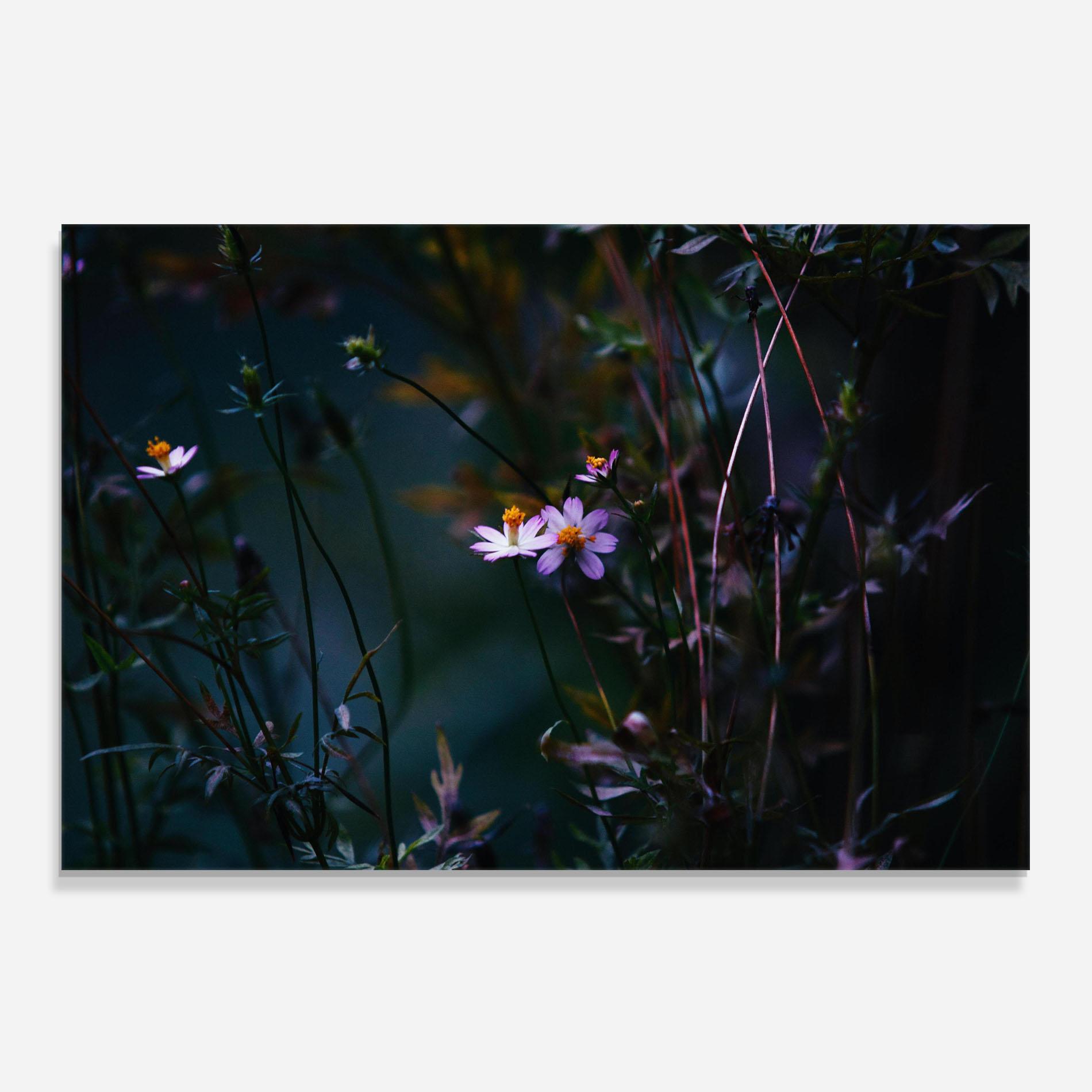 Panou Sticla Bucatarie Night Flowers mockup 0