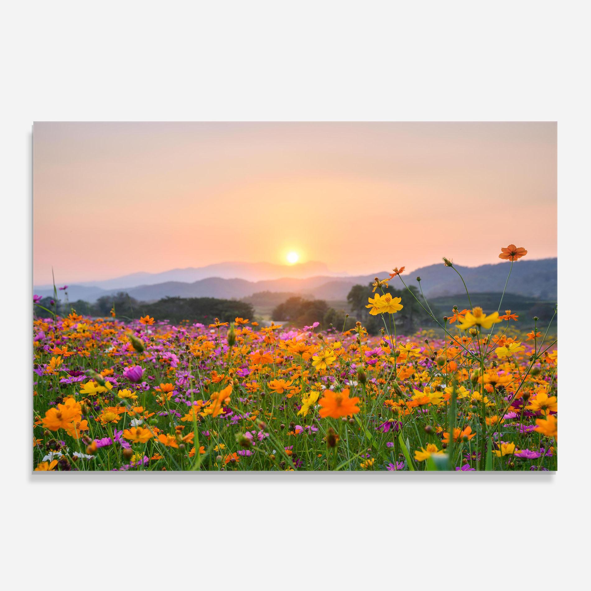 Panou Sticla Bucatarie Sunset Mountain Flowerf mockup 0