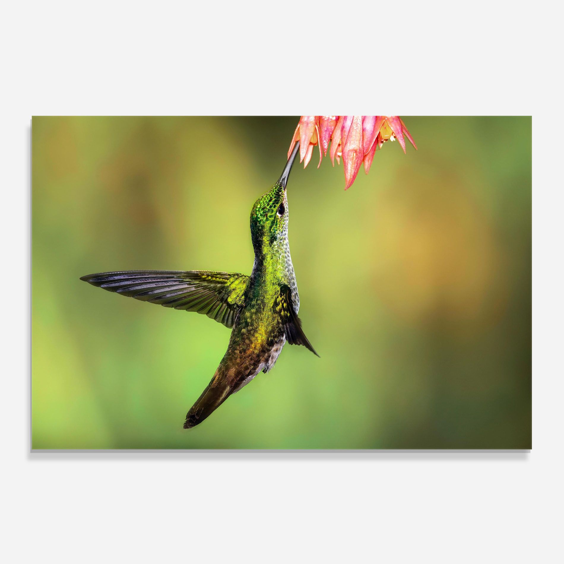 Wild Bird Flower mockup 0