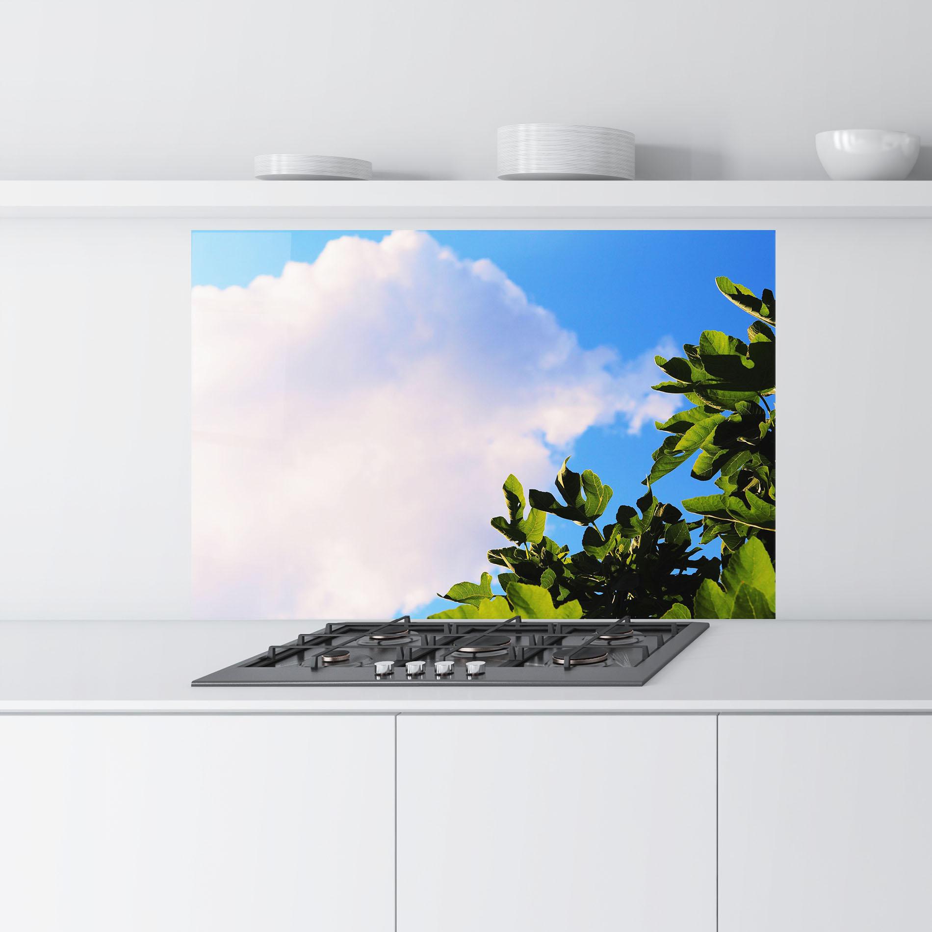 Panou Sticla Bucatarie J Cruikshank Lhzagi8n3oi Unsplash mockup 9