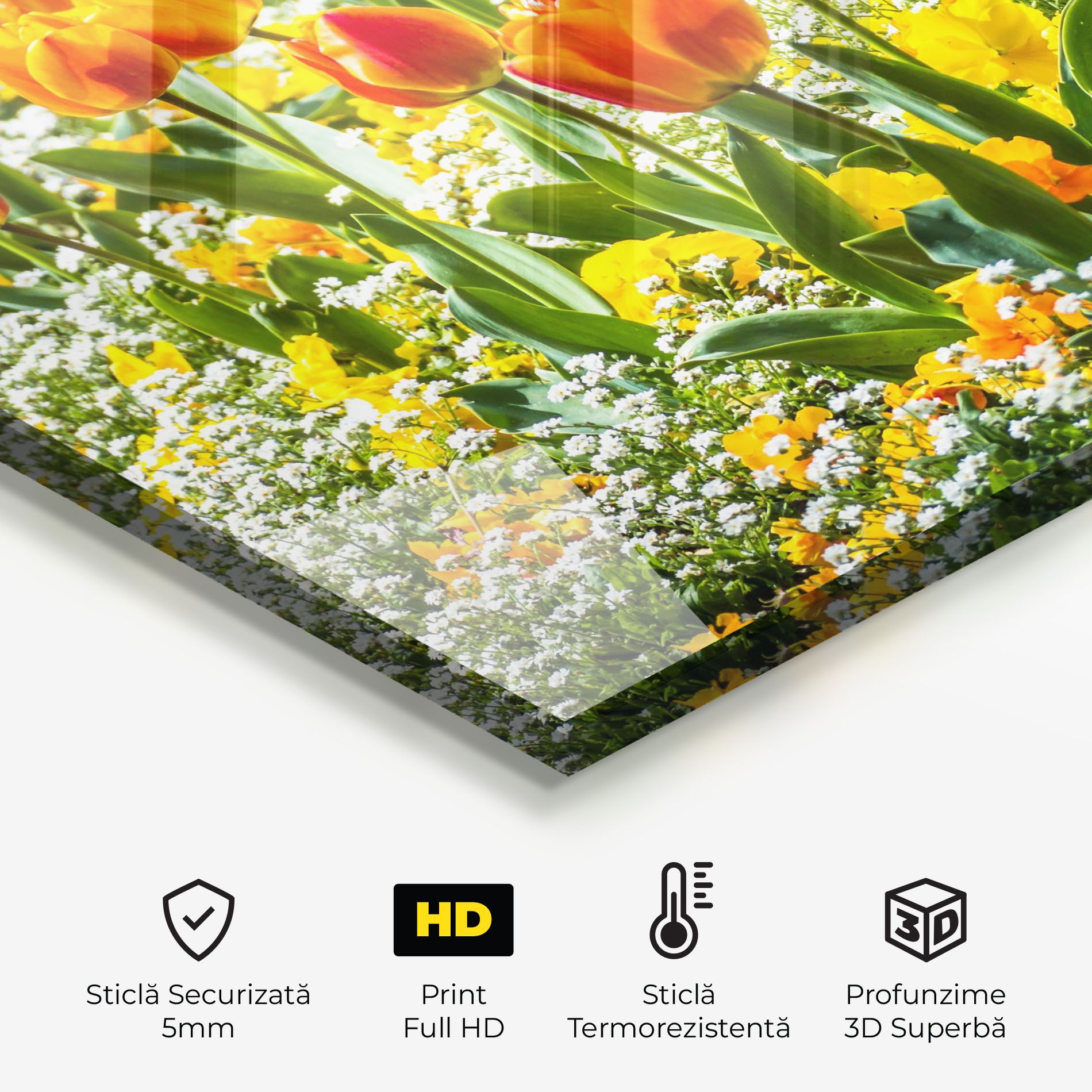 Colorful Tulips Garden mockup 2