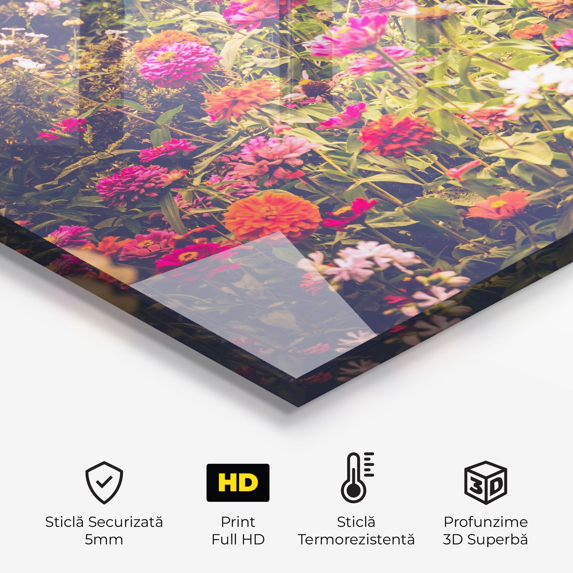 Colorful Wild Field mockup 2