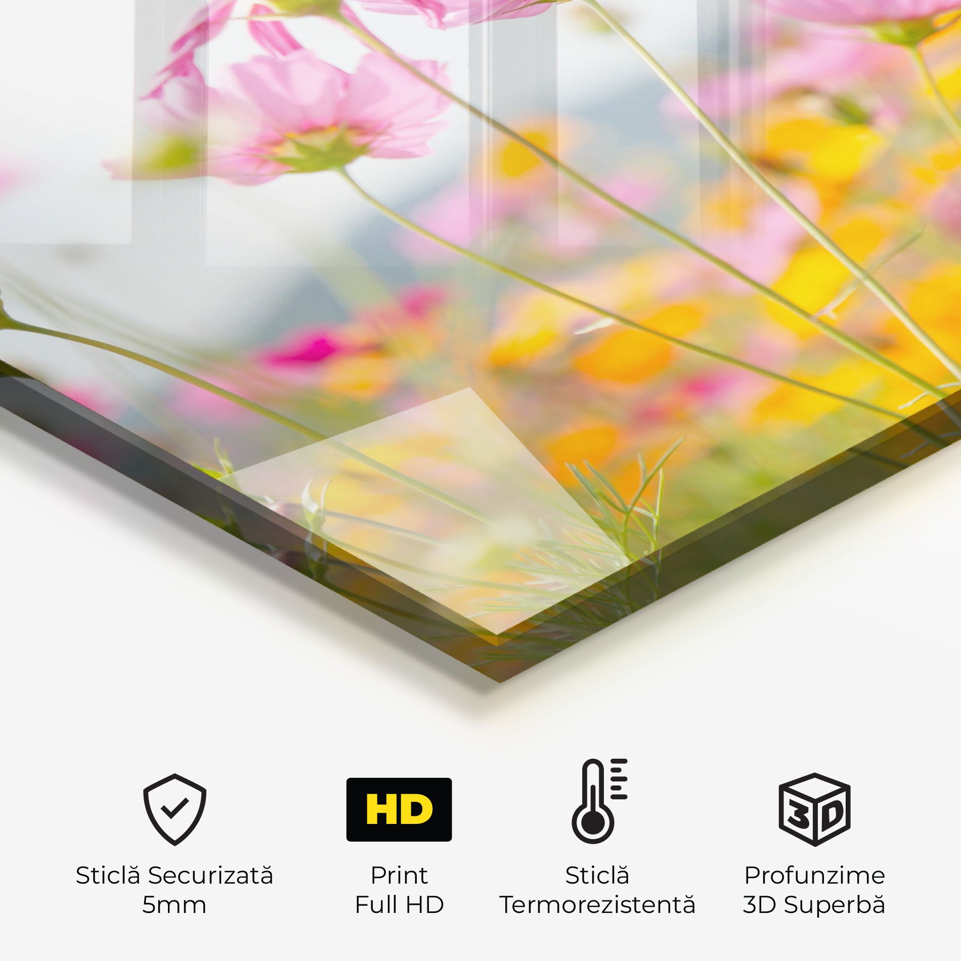 Cosmos Beauty Flowers mockup 2