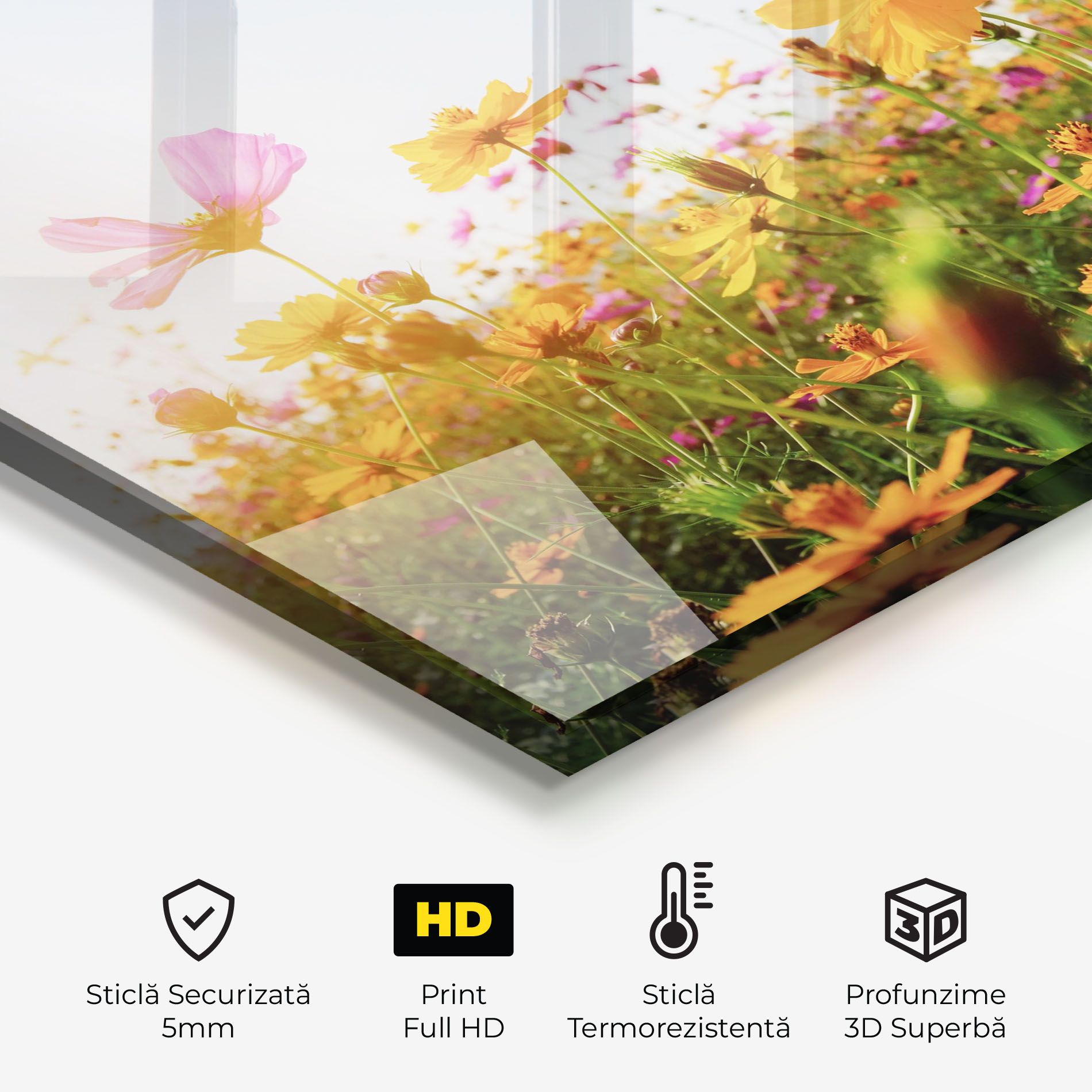 Cosmos Field Sunset mockup 2