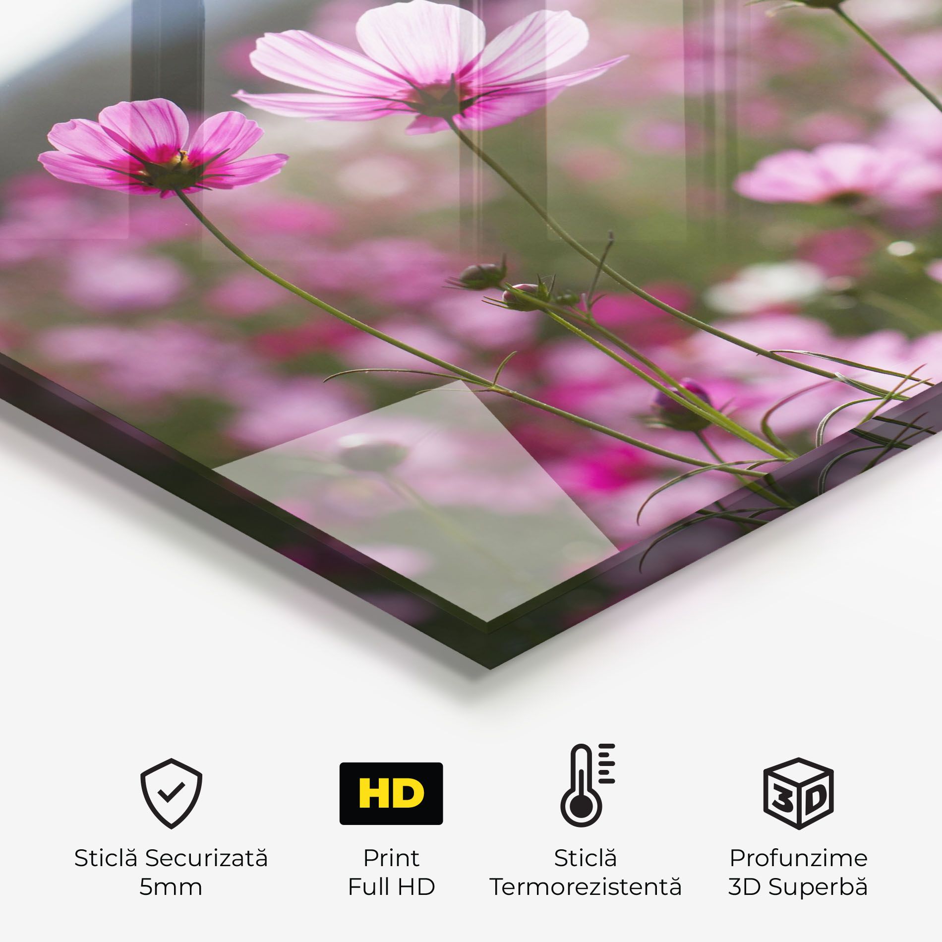 Cosmos Flower mockup 2