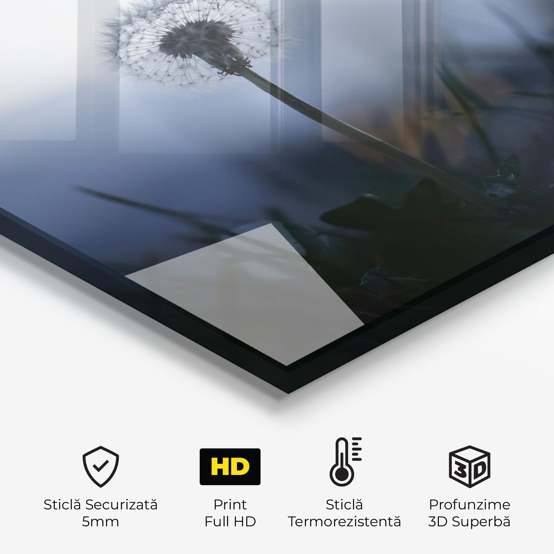 Dandelion Wild View mockup 2