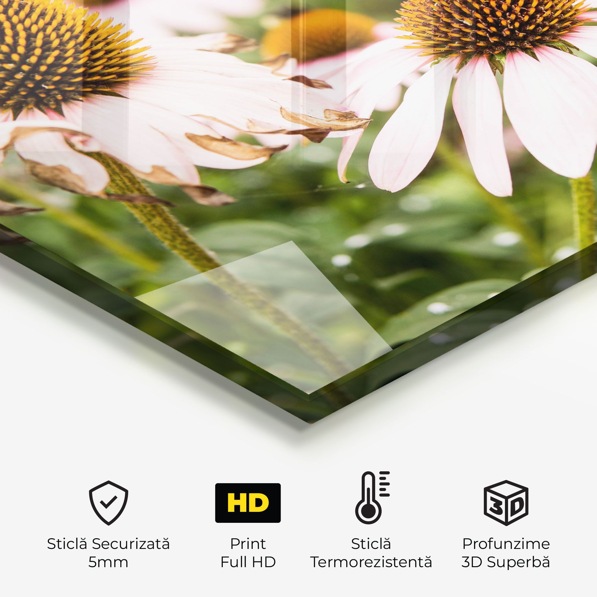 Daylight Bee mockup 2