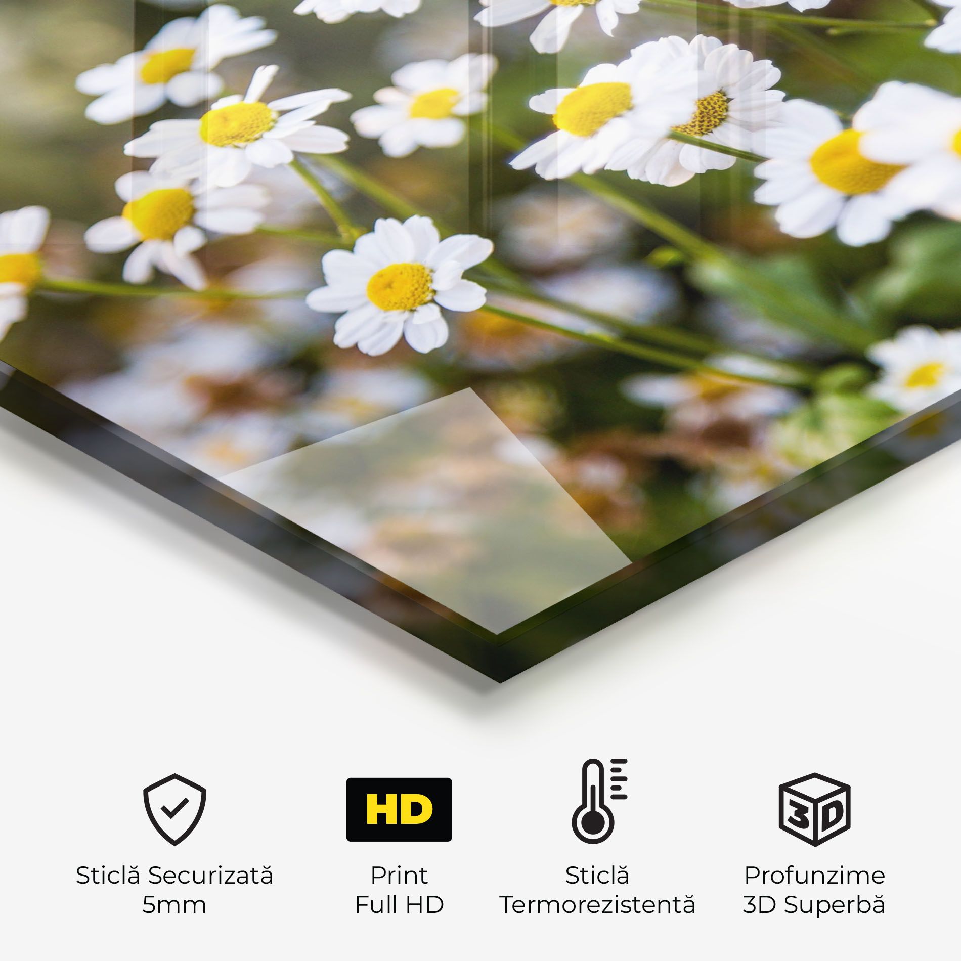 Flowers Garden mockup 2