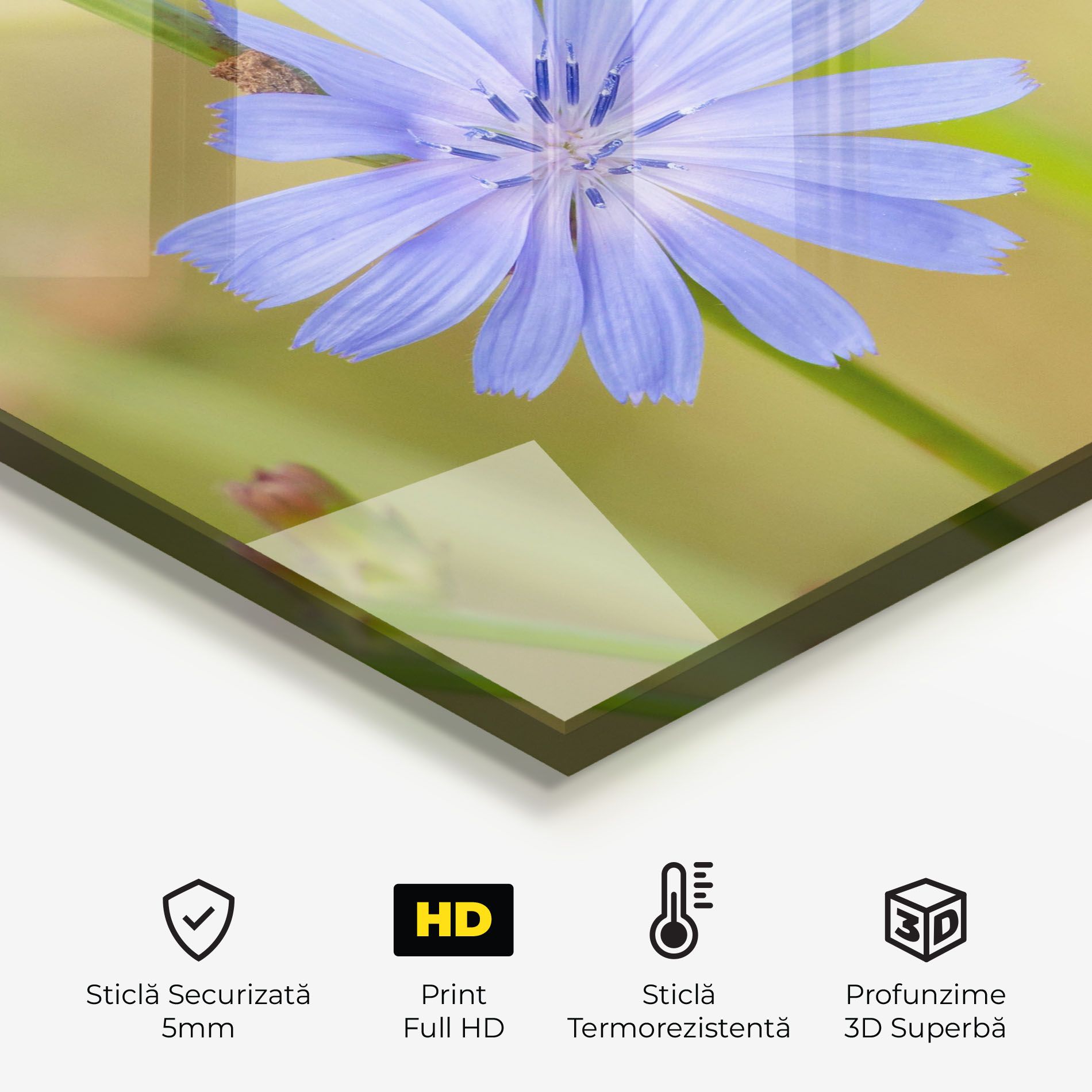 Wild Purple Blue mockup 2